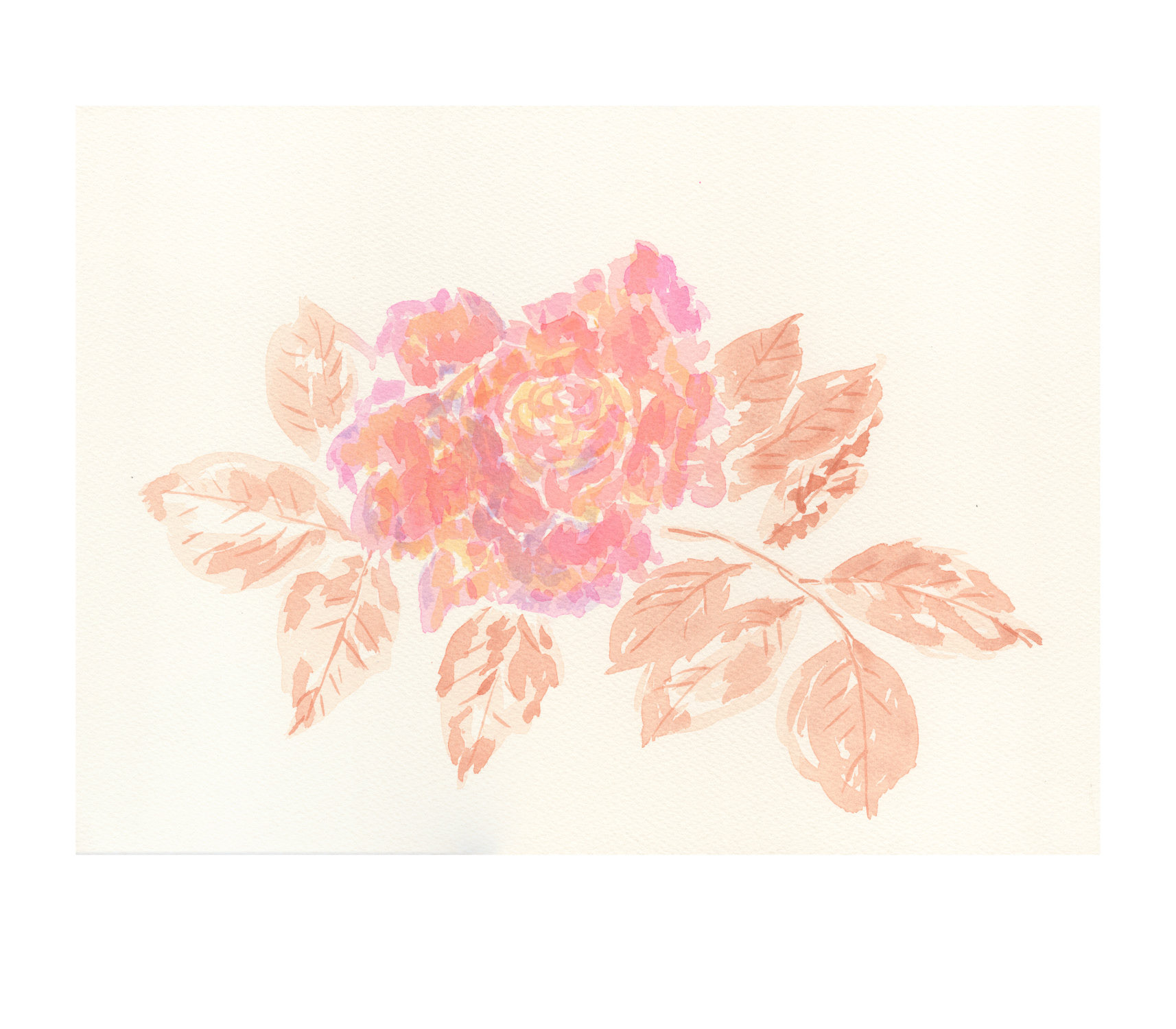 Rose I