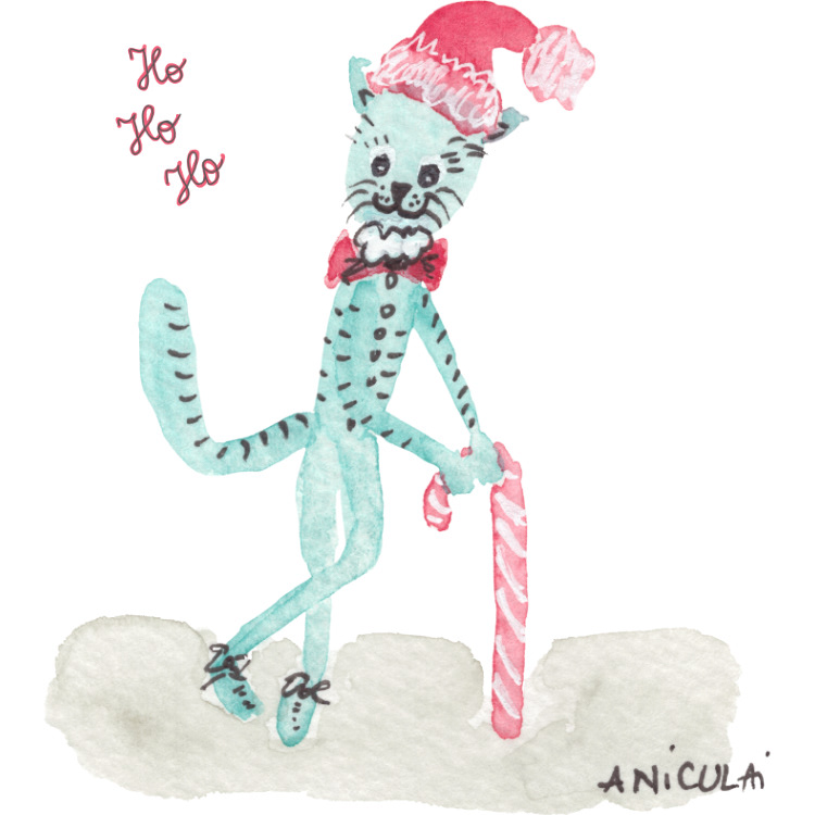 AN050 Santa cat with hat - text