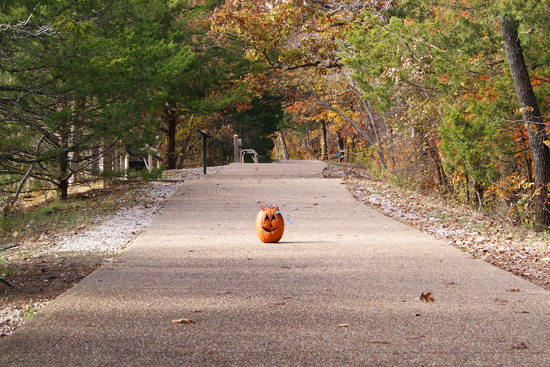 Não inventei. Esta abóboa estava ali!