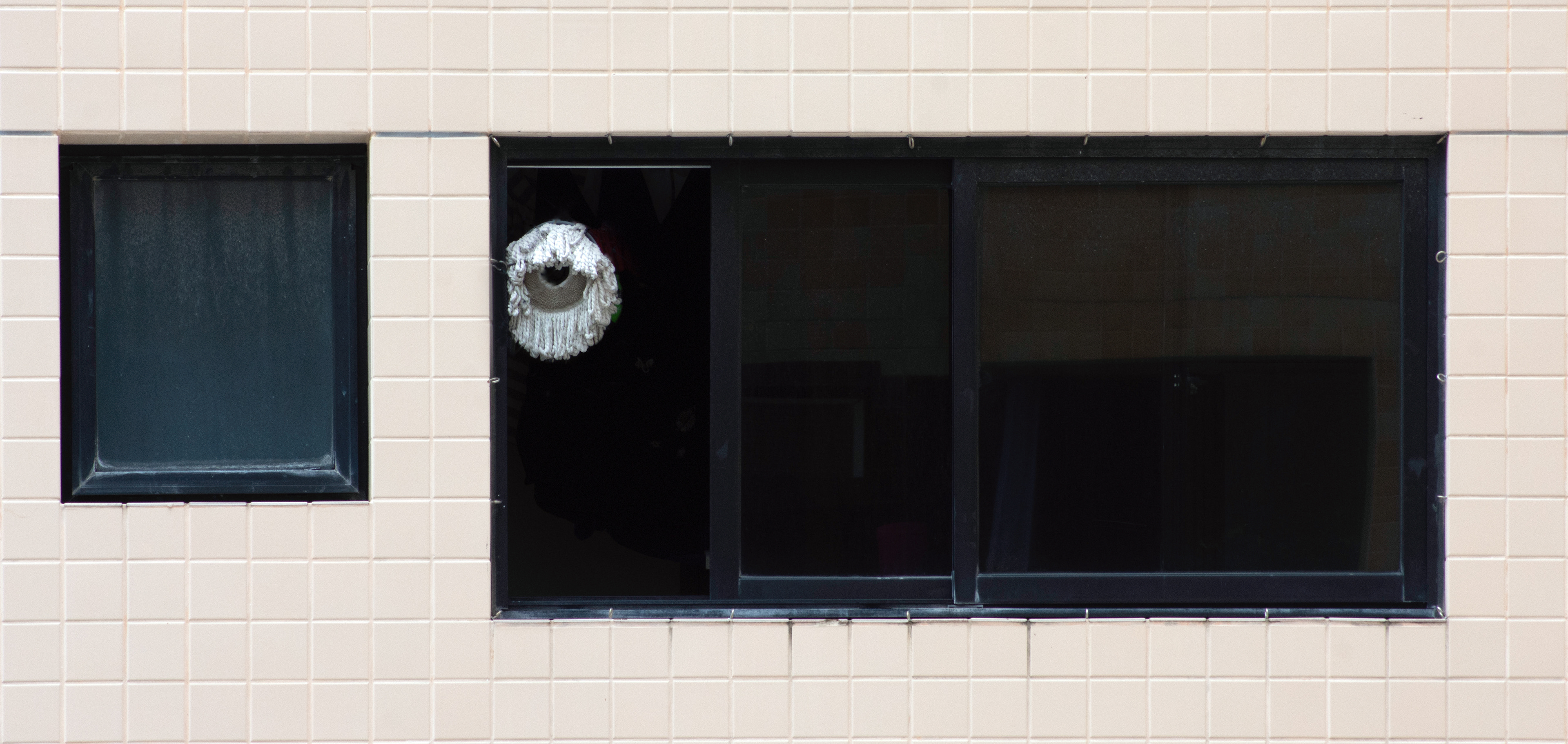 Pela janela - Flor de Mop