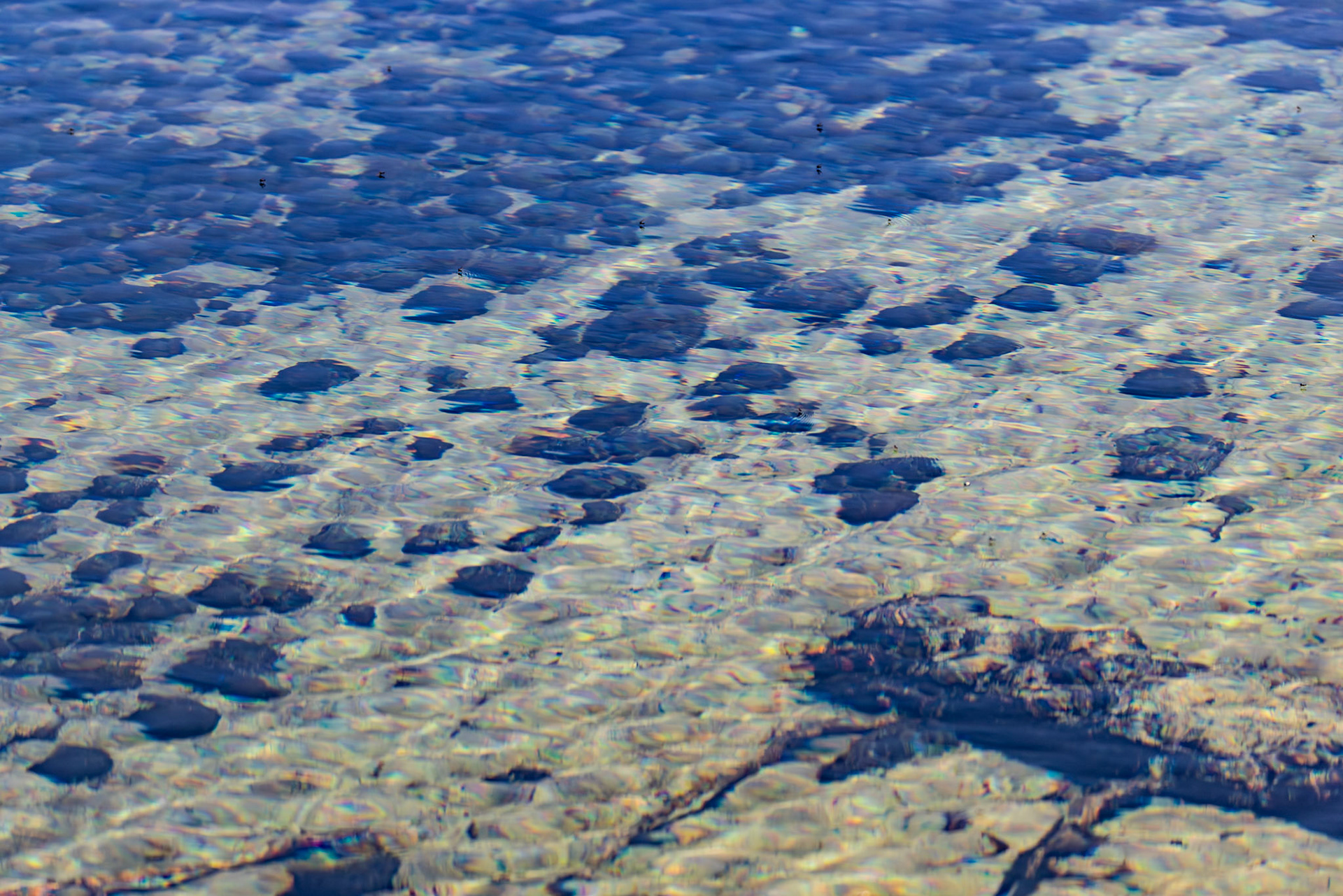 Mare's Eggs