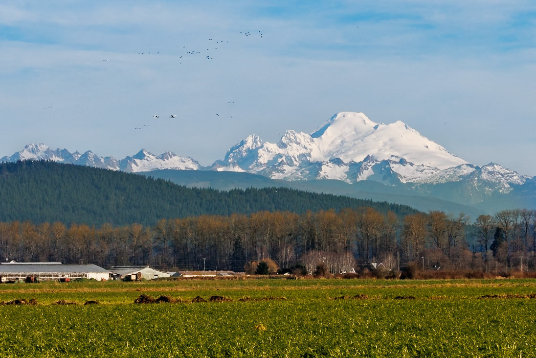 Mt. Baker