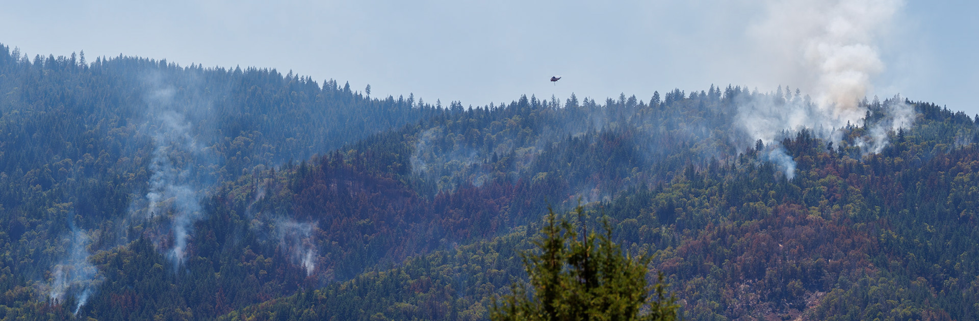 Neil Creek Fire