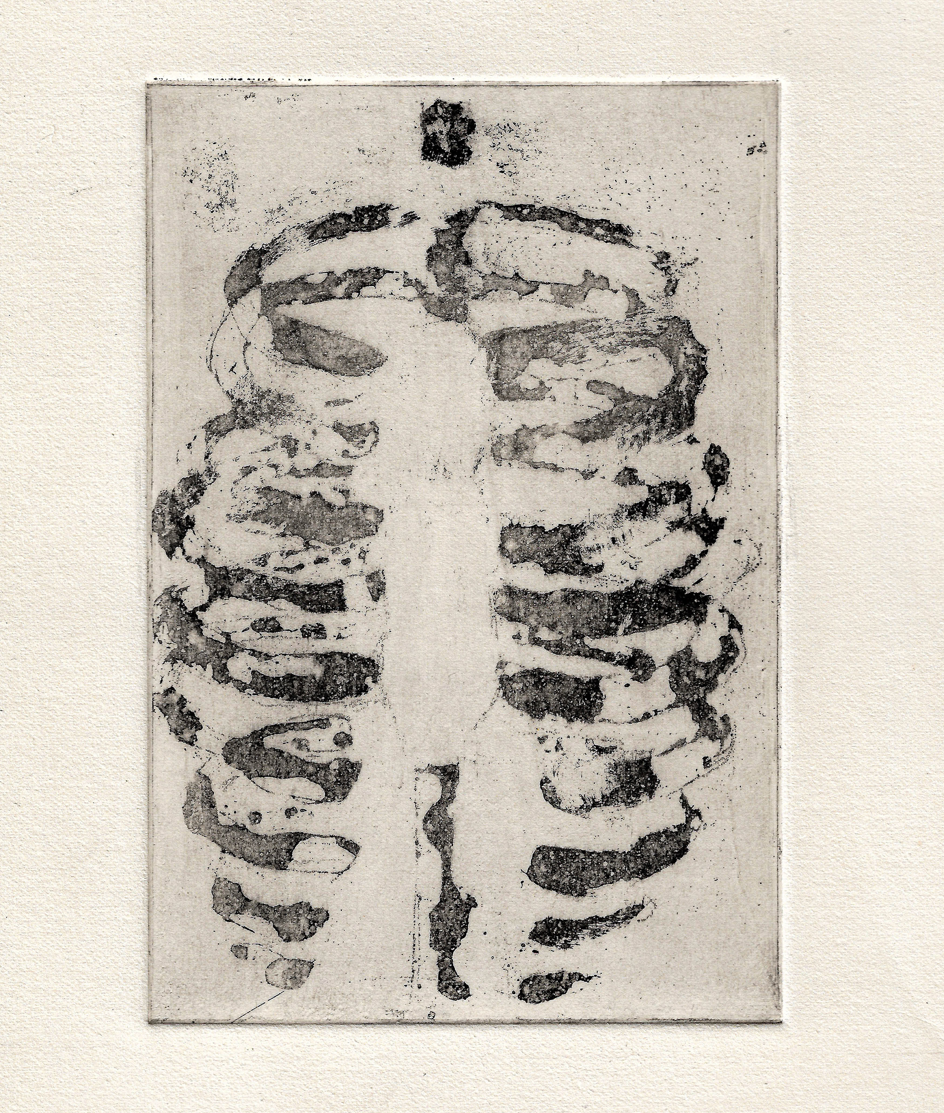 rib, aquatint on paper, 15x10cm, 2024