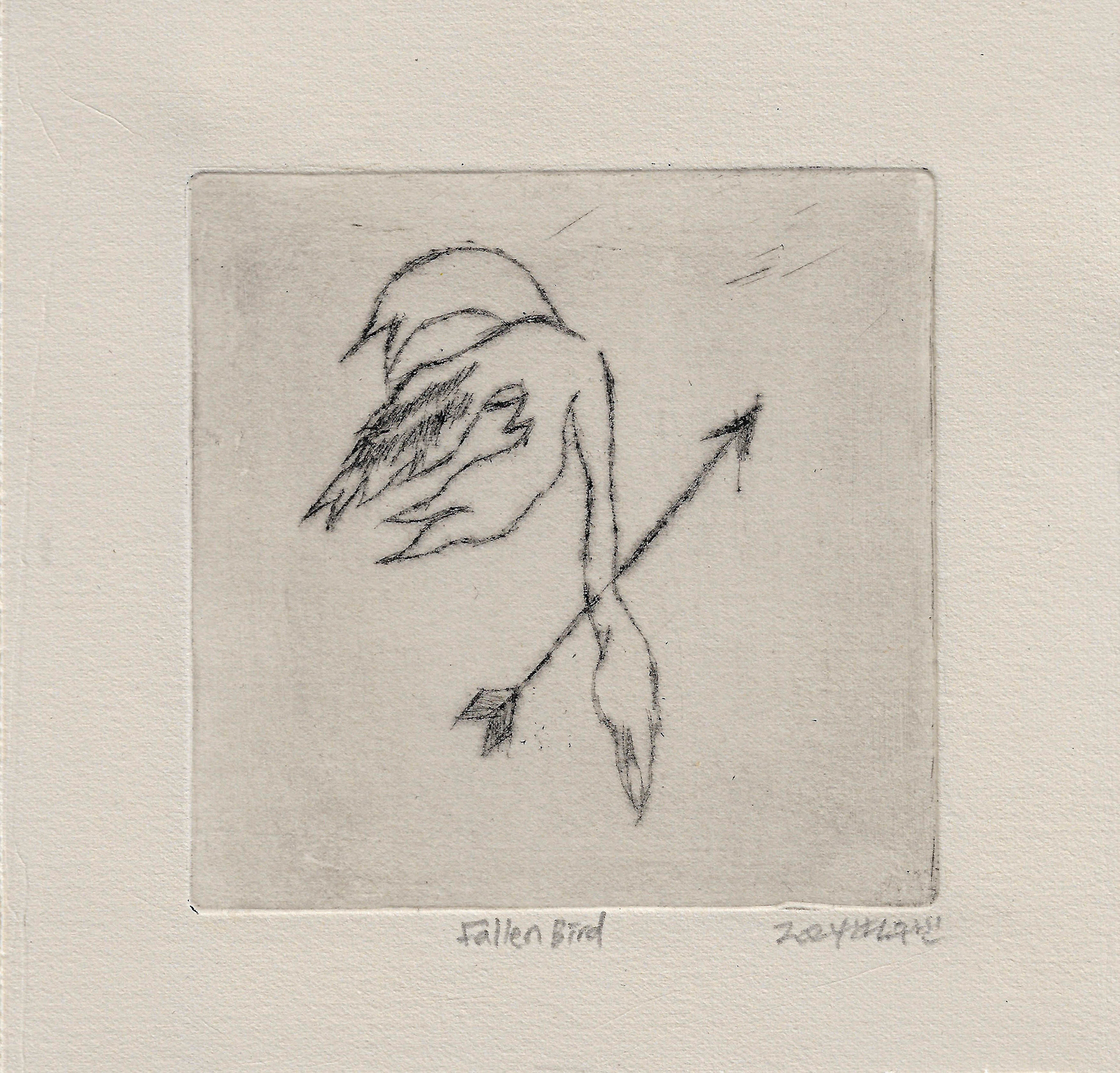 fallen bird, drypoint on paper, 10x10cm, 2024
