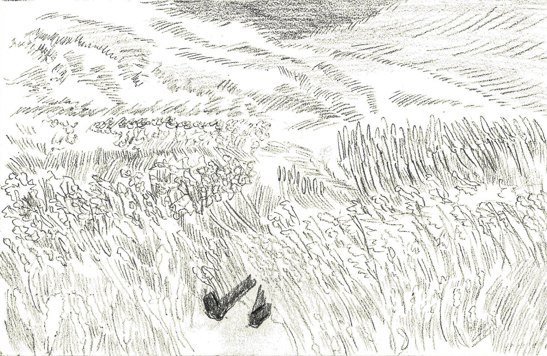 burnt 2, pencil on paper, 21.0x13.5cm, 2018
