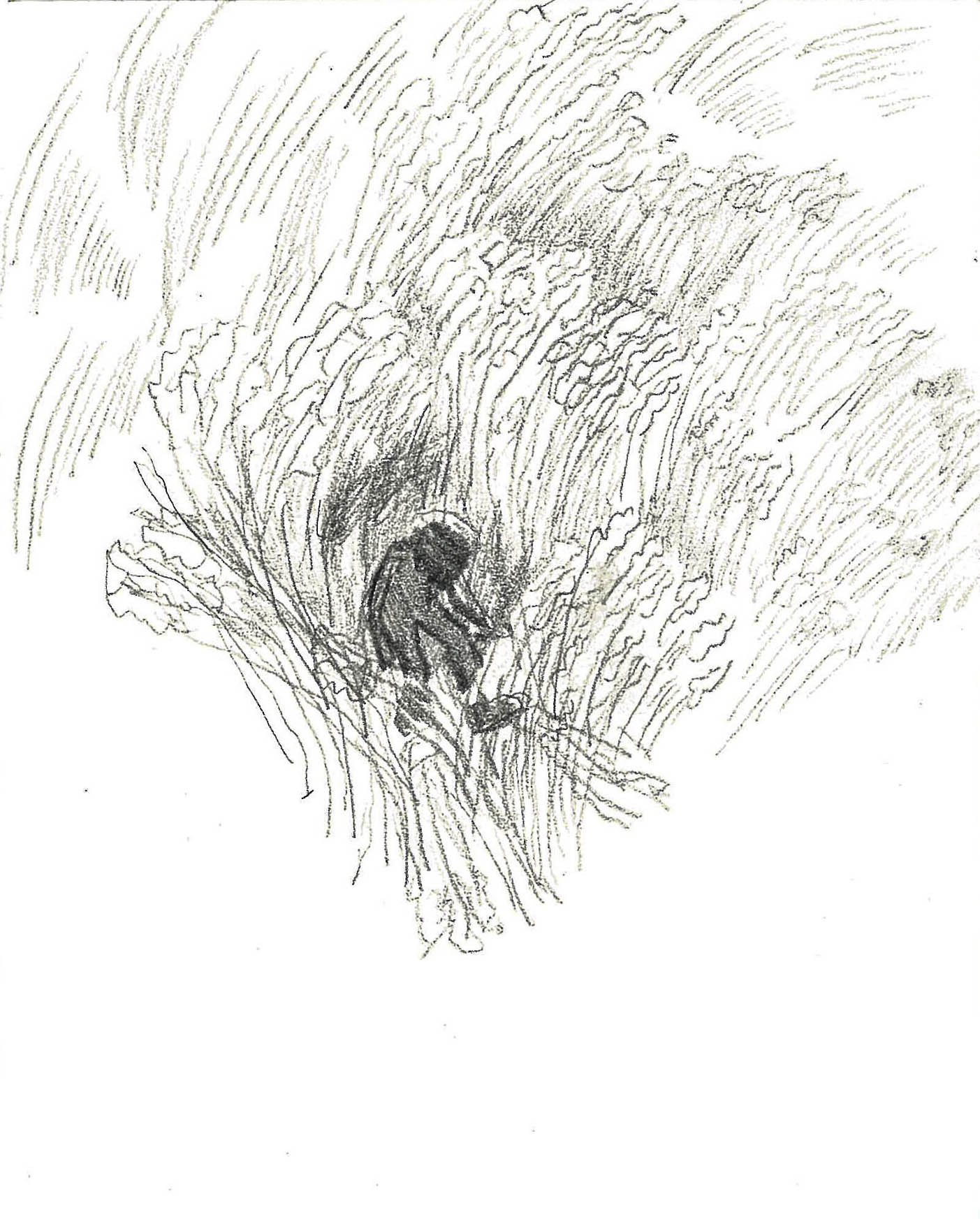 burnt 1, pencil on paper, 17.0x13.5cm, 2018