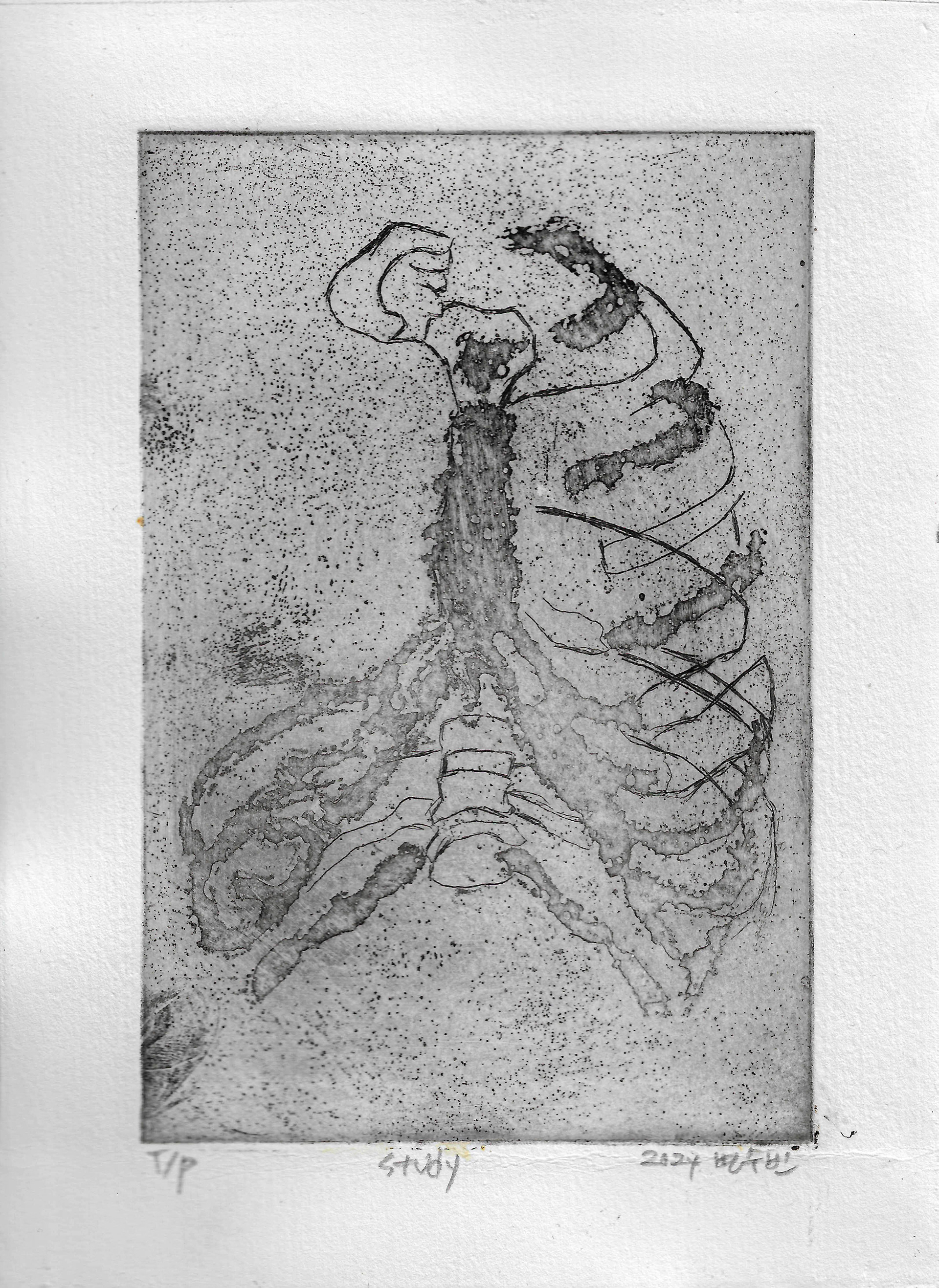 Ribs, aquatint and etching on paper, 15x10cm, 2024