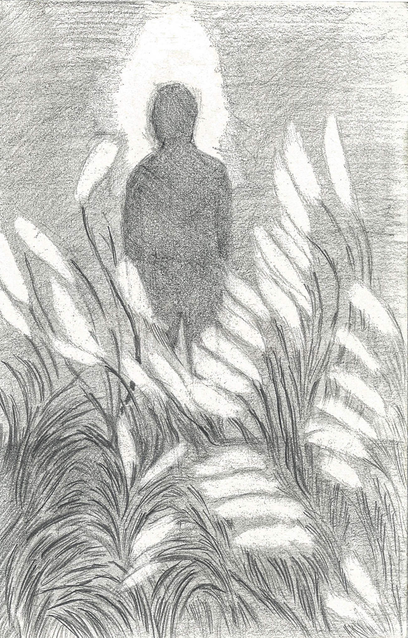 the light 4, pencil on paper, 21.0x13.5cm, 2018