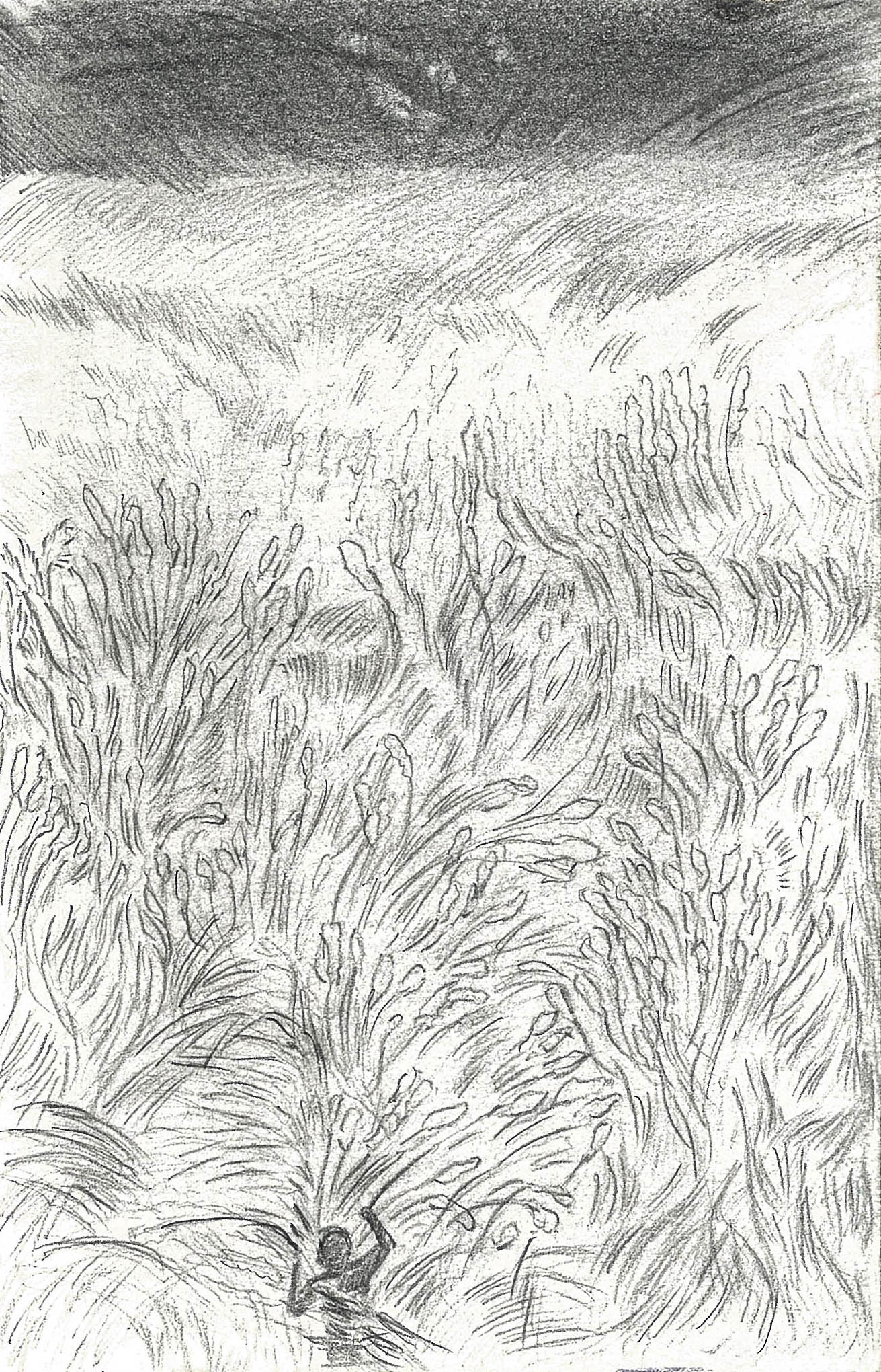 the light 1, pencil on paper, 21.0x13.5cm, 2018