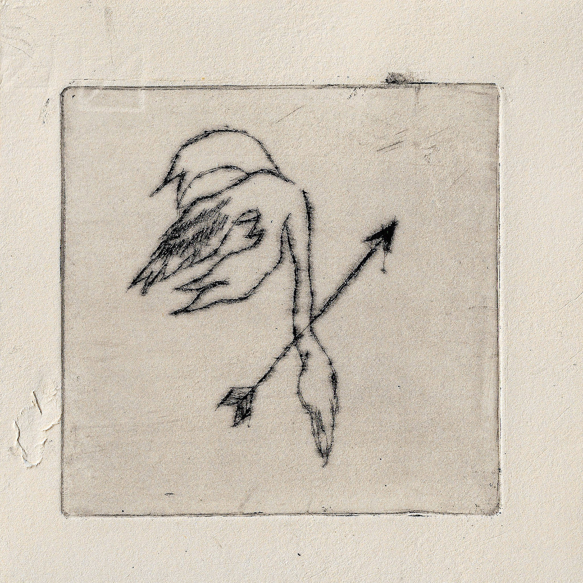 Fallen bird, drypoint on paper, 10x10cm, 2024