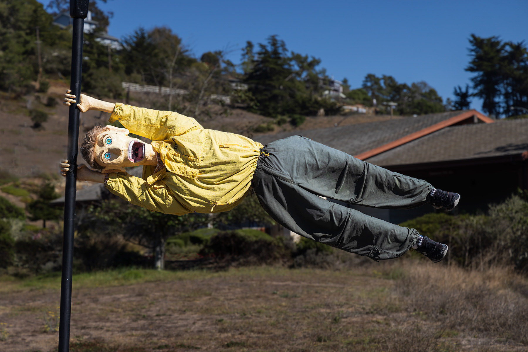 Flying Scarecrow