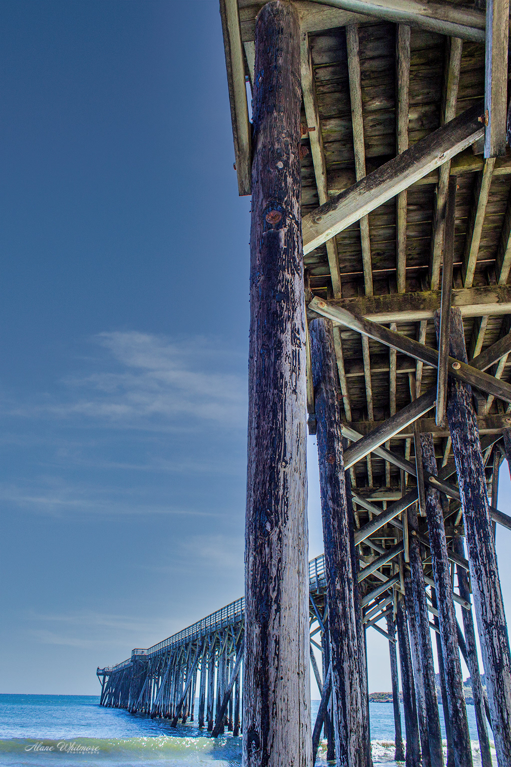 Under the Pier