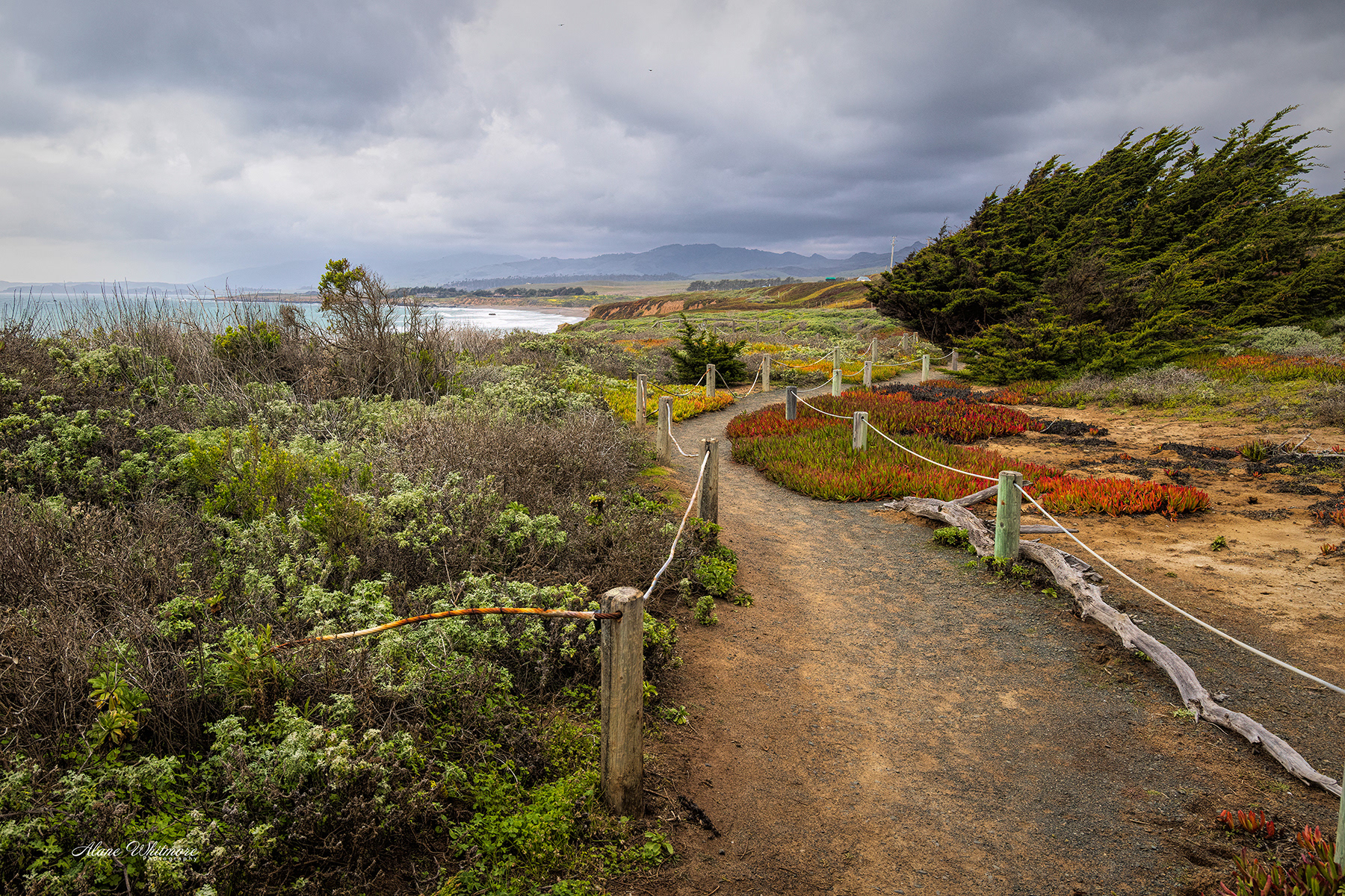 Moonstone Path
