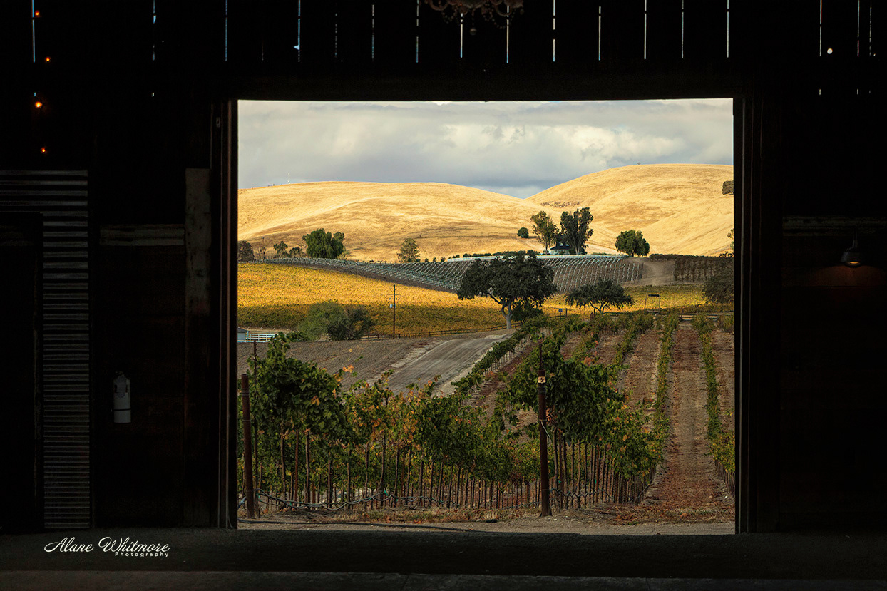Rolling Hills Ranch Barn View