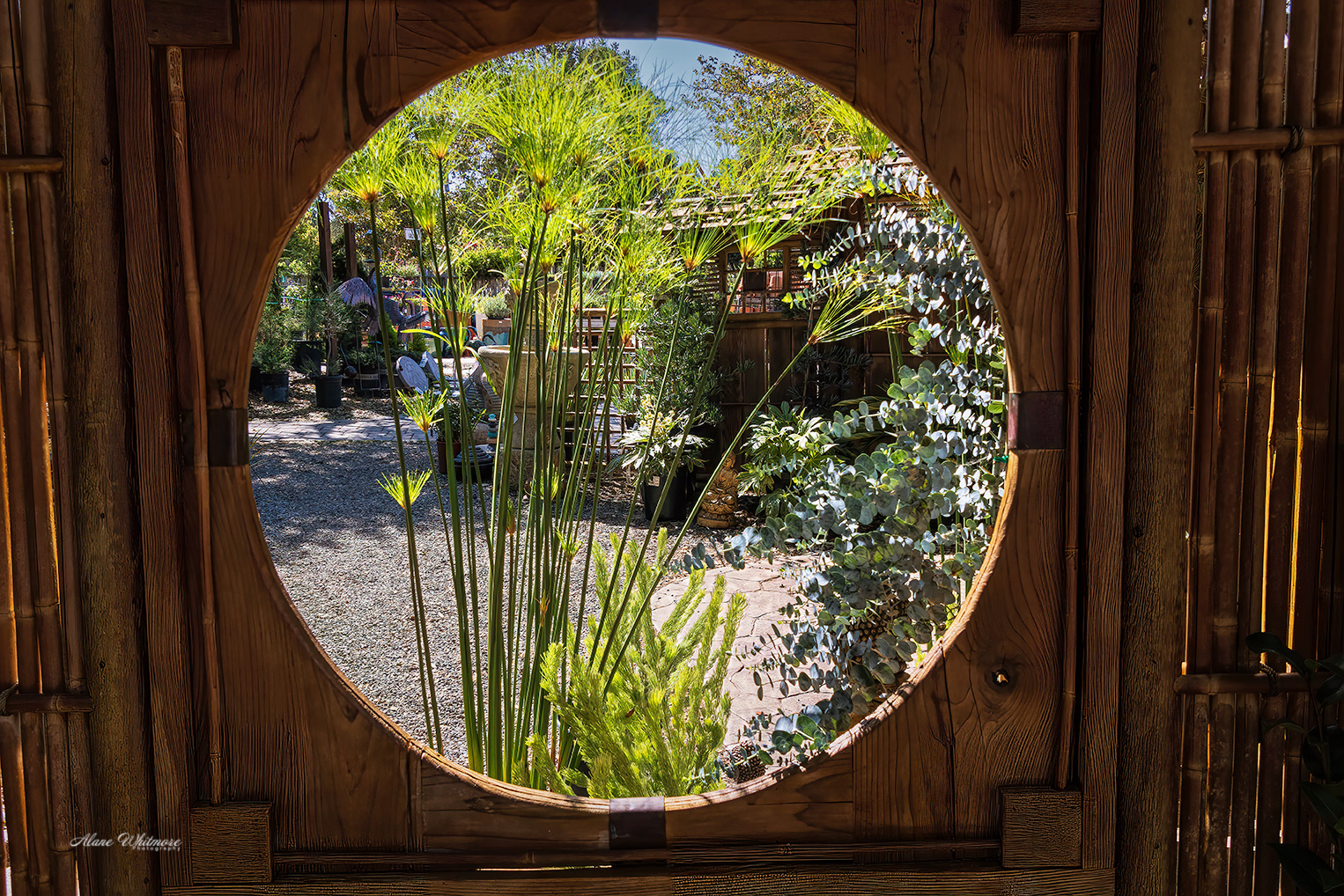 Peek a Boo Garden