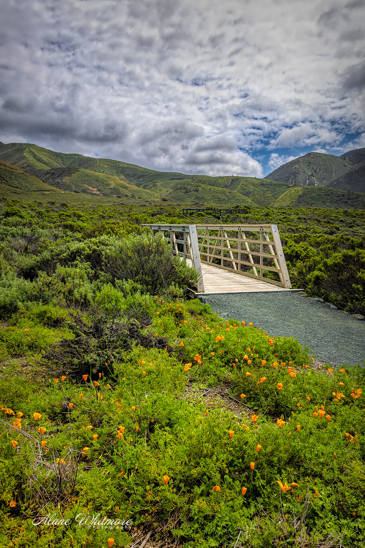 Montana de Oro Bridge