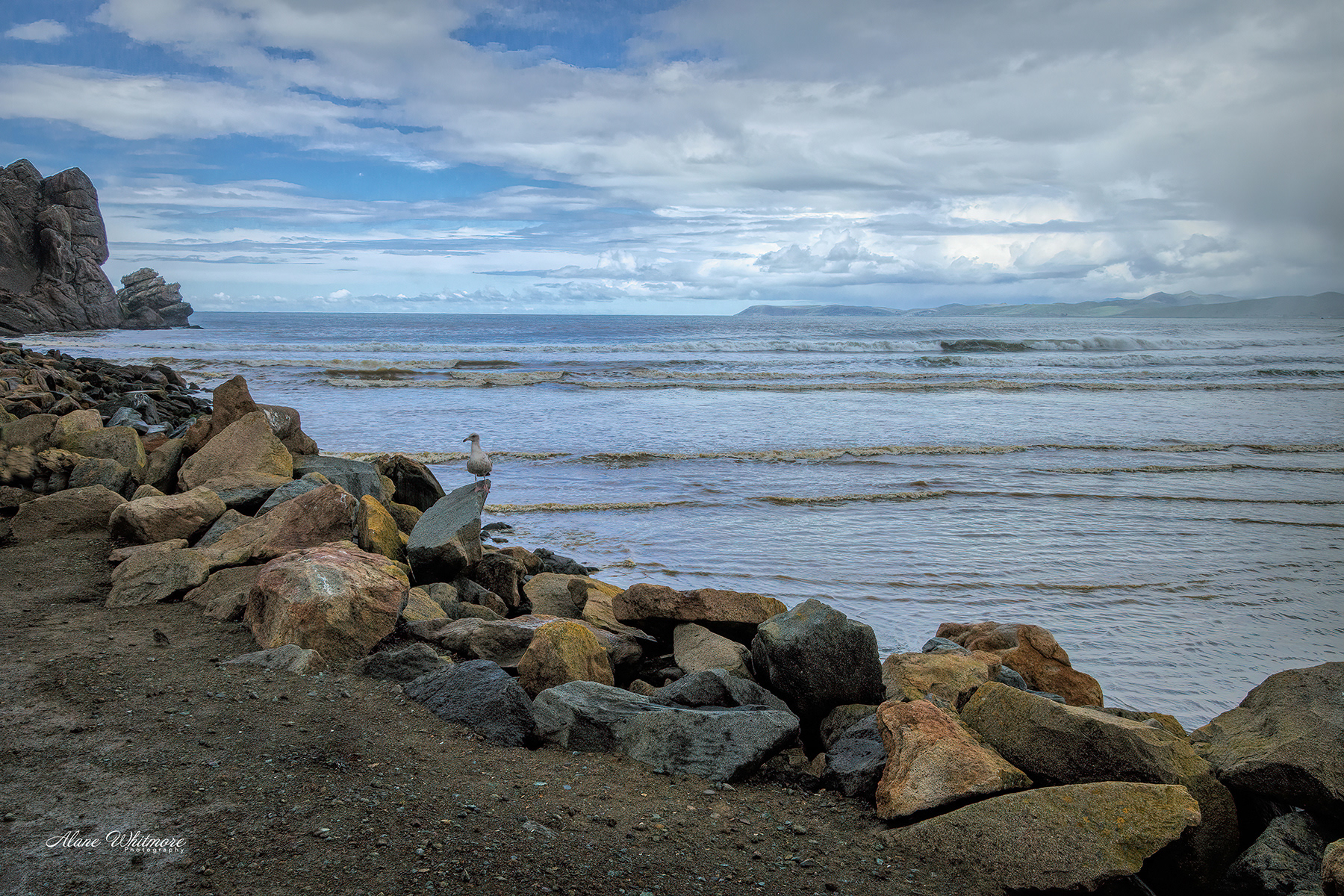 View from Morro Rock