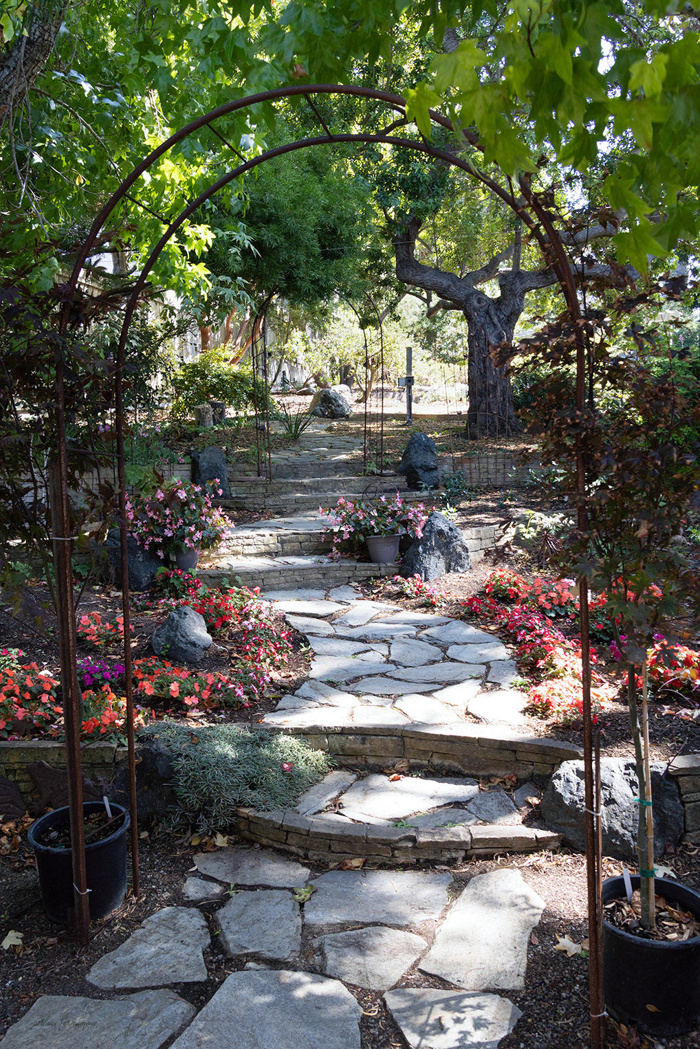 Garden of Eden