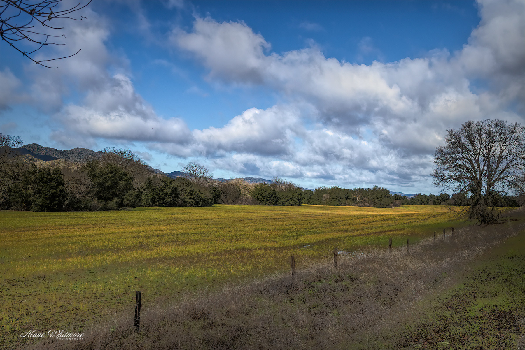 Pozo Road View