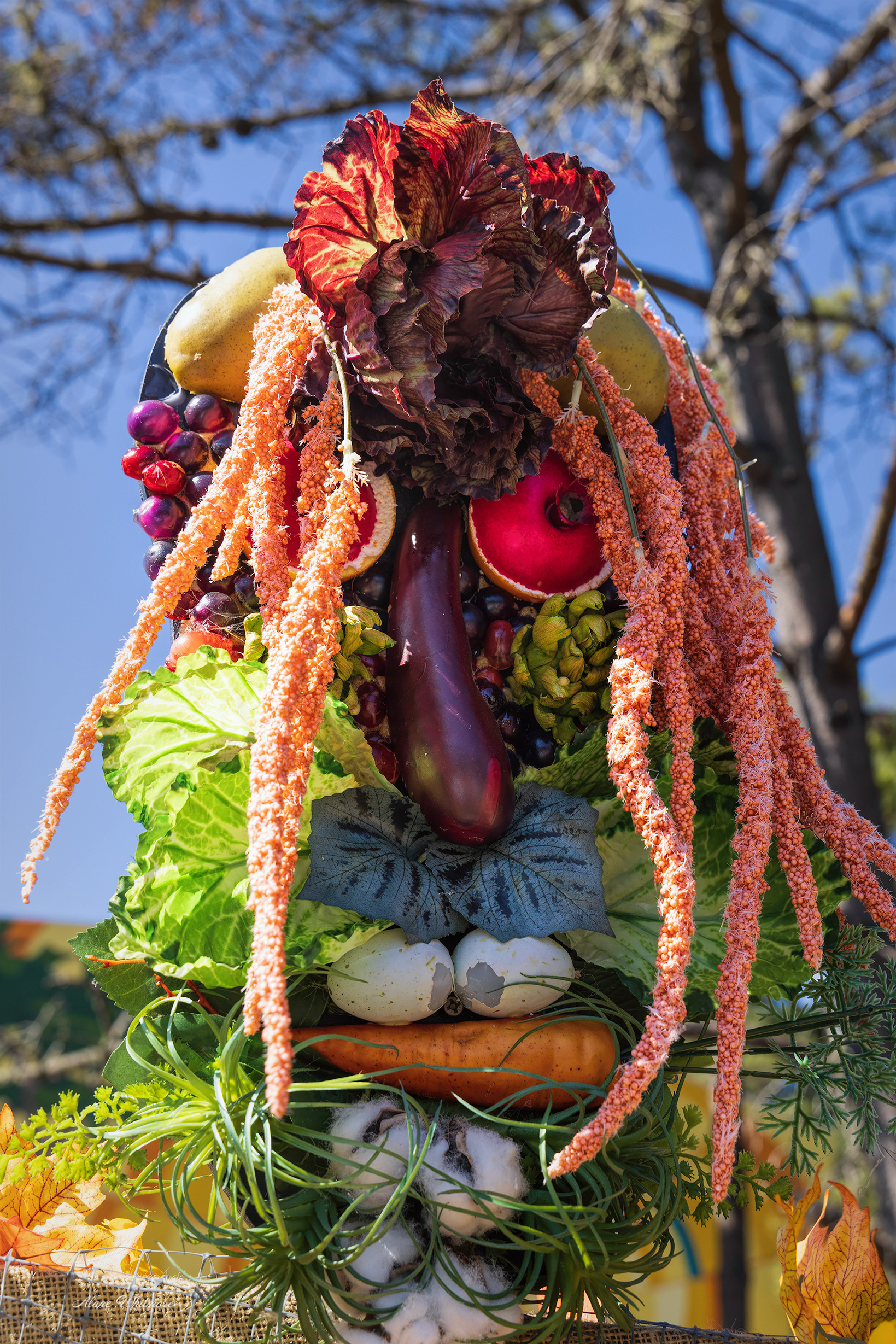 Fruit Face