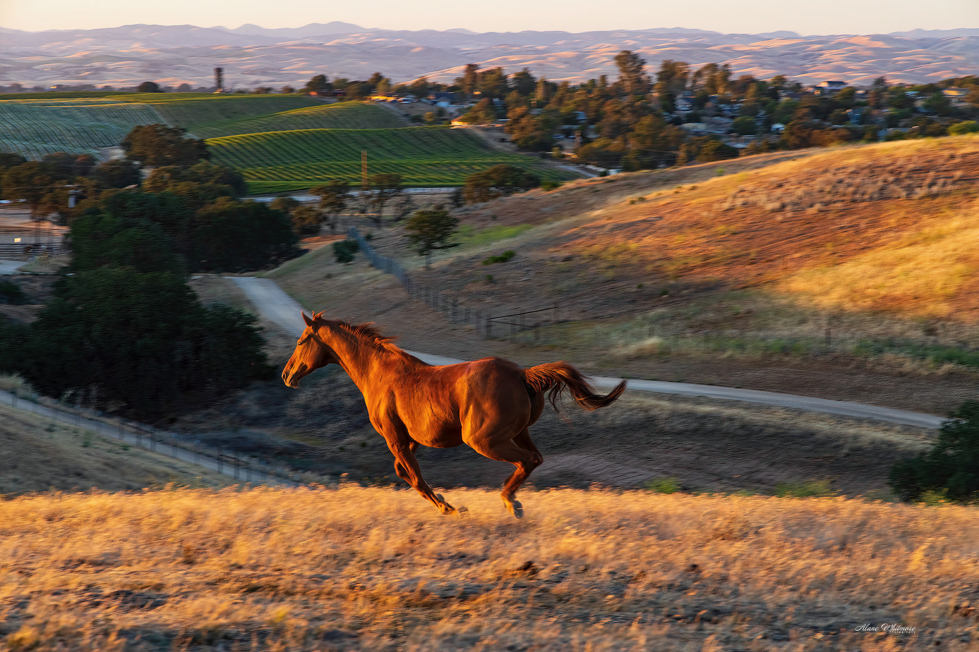 A Sunset Run