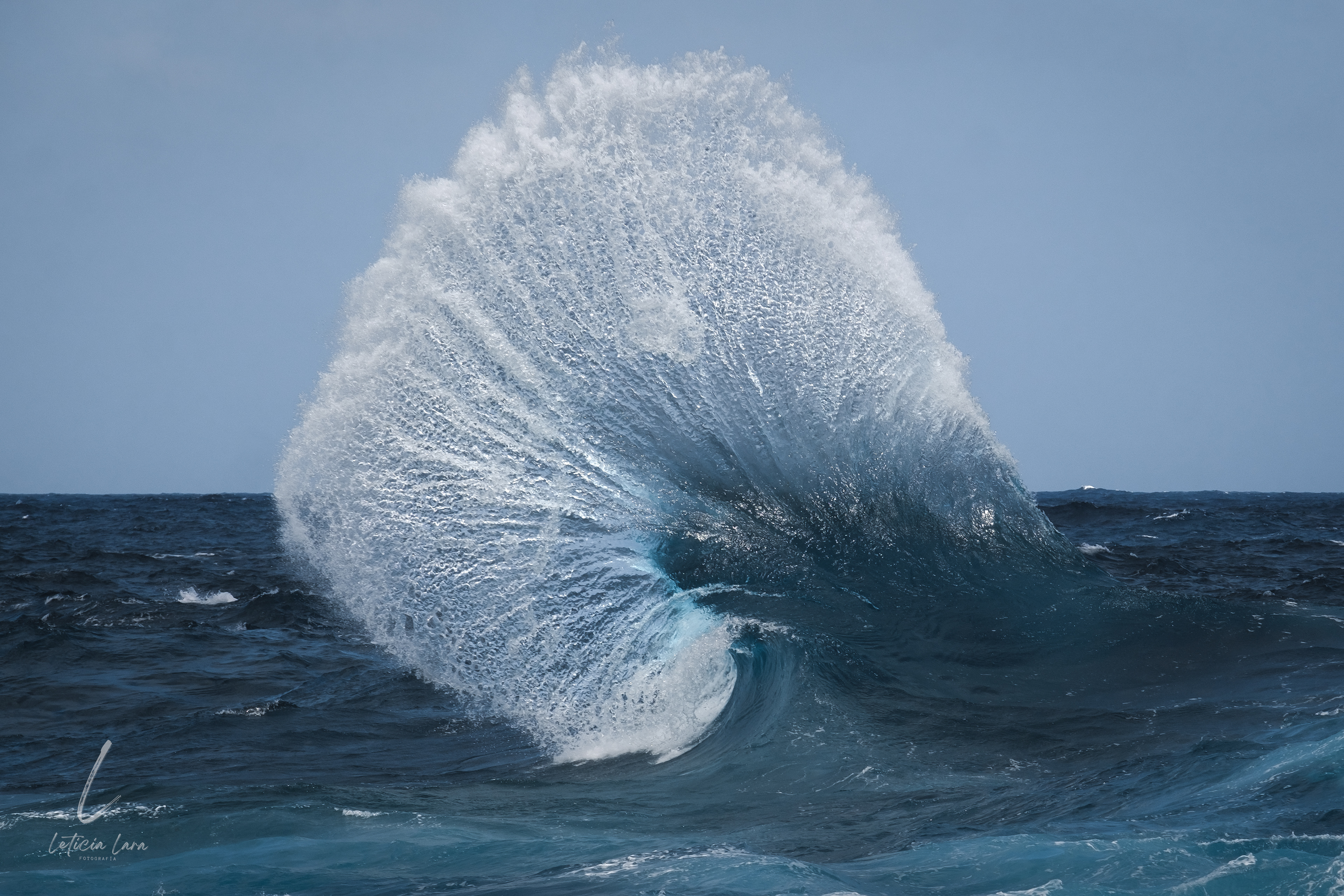 W9. Splash