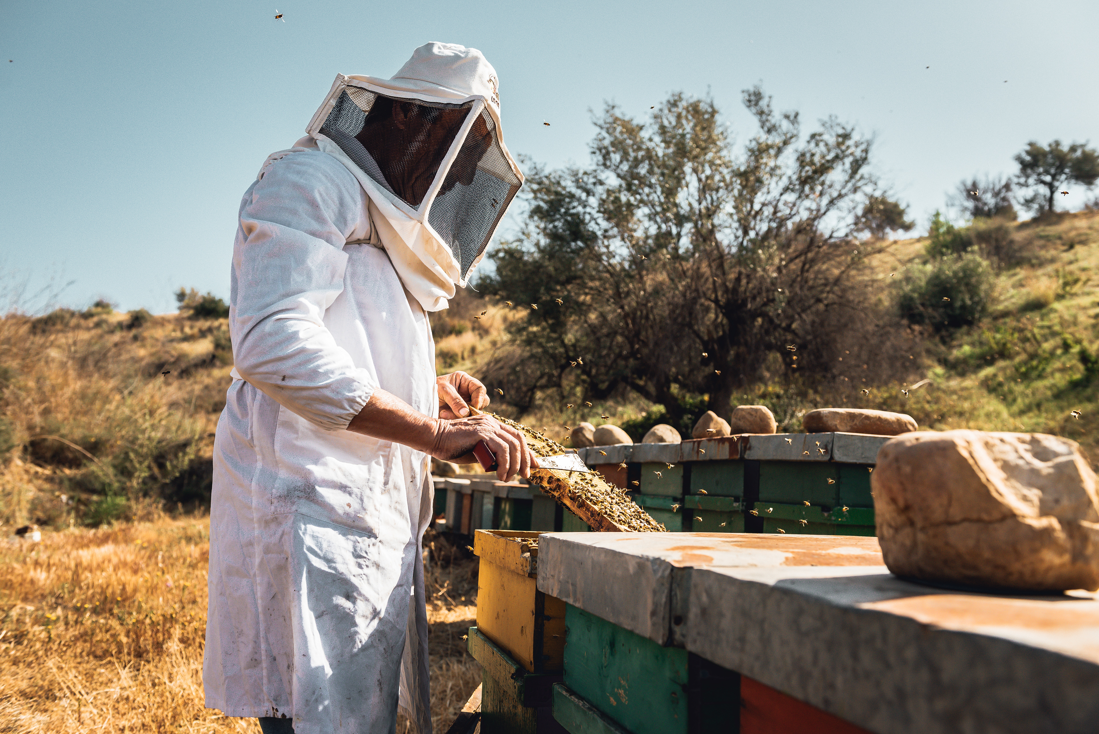 Reportage photography apicoltore - Progetto personale beekeeper locale stile documentaristico autentico