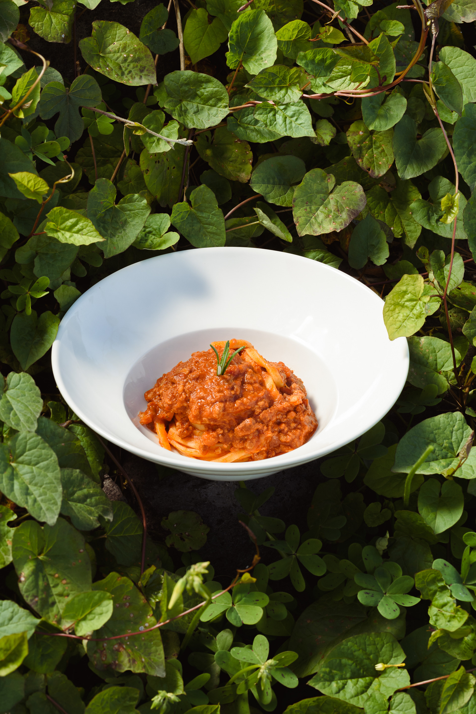 Food photography  - Piatti gourmet per La Cook con composizione artistica.