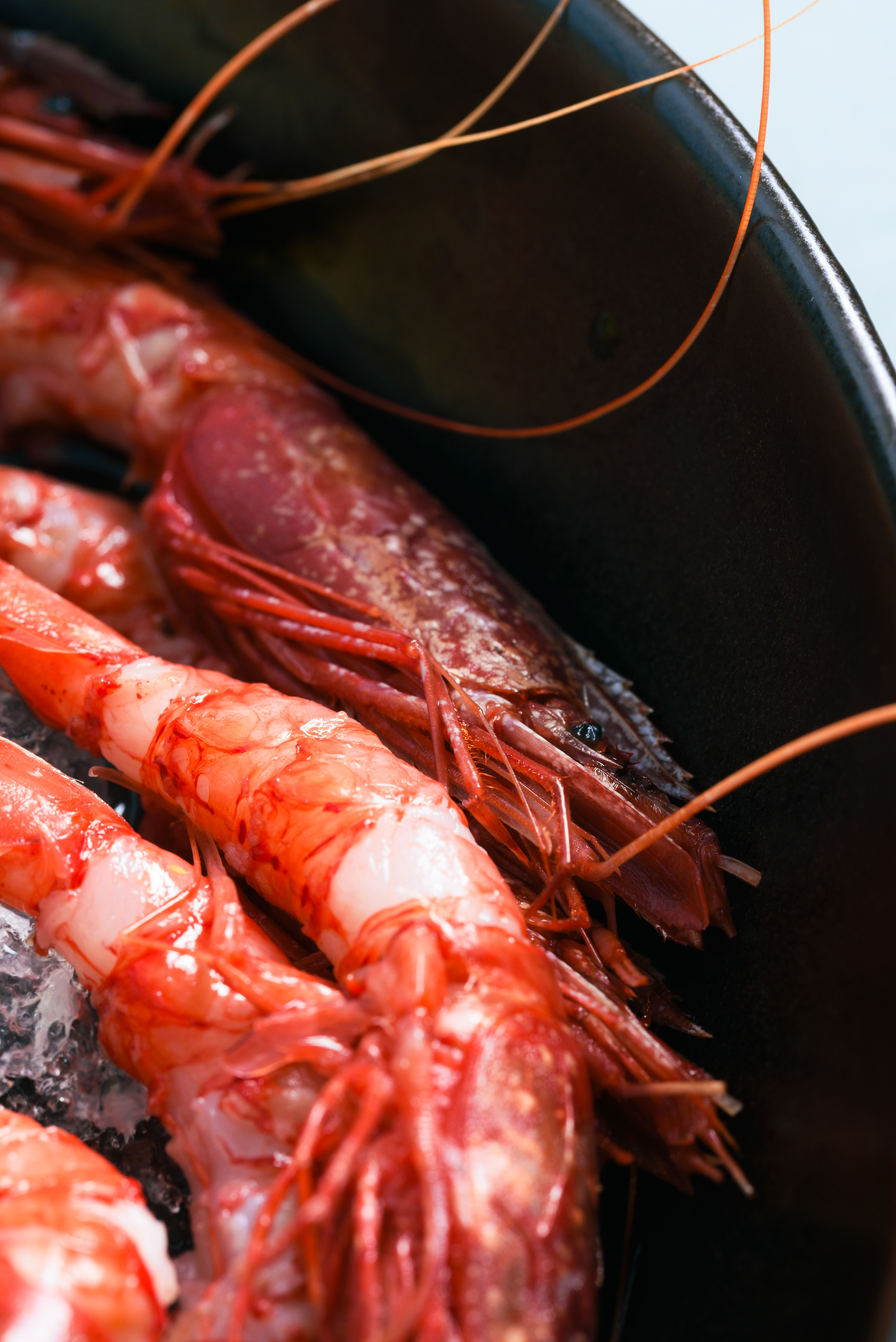 Food photography per Gelsonero , dettagli con stile editoriale.