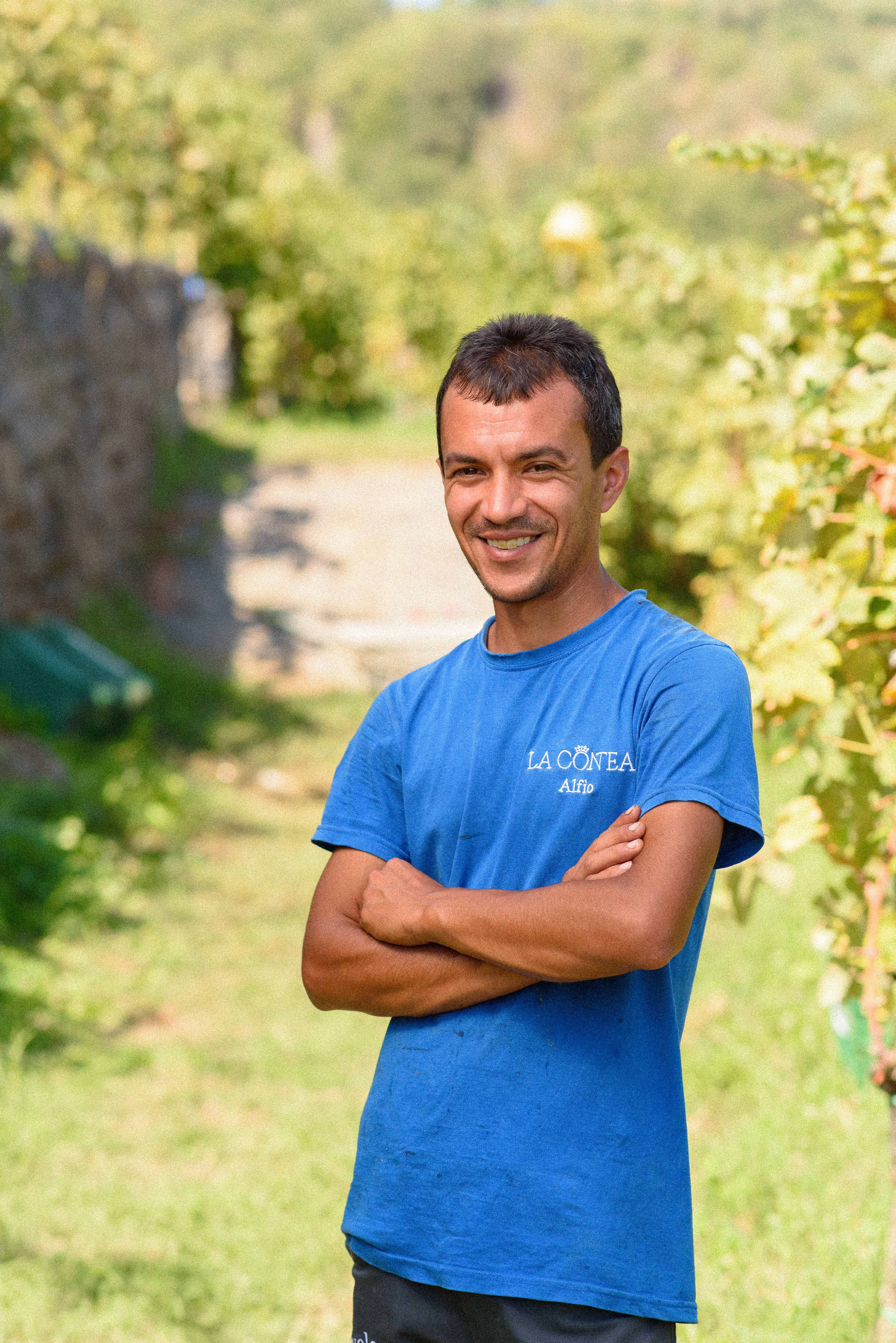 Wine makers photography Cantine La Contea - Team vendemmia per Hoko Studio approccio documentaristico