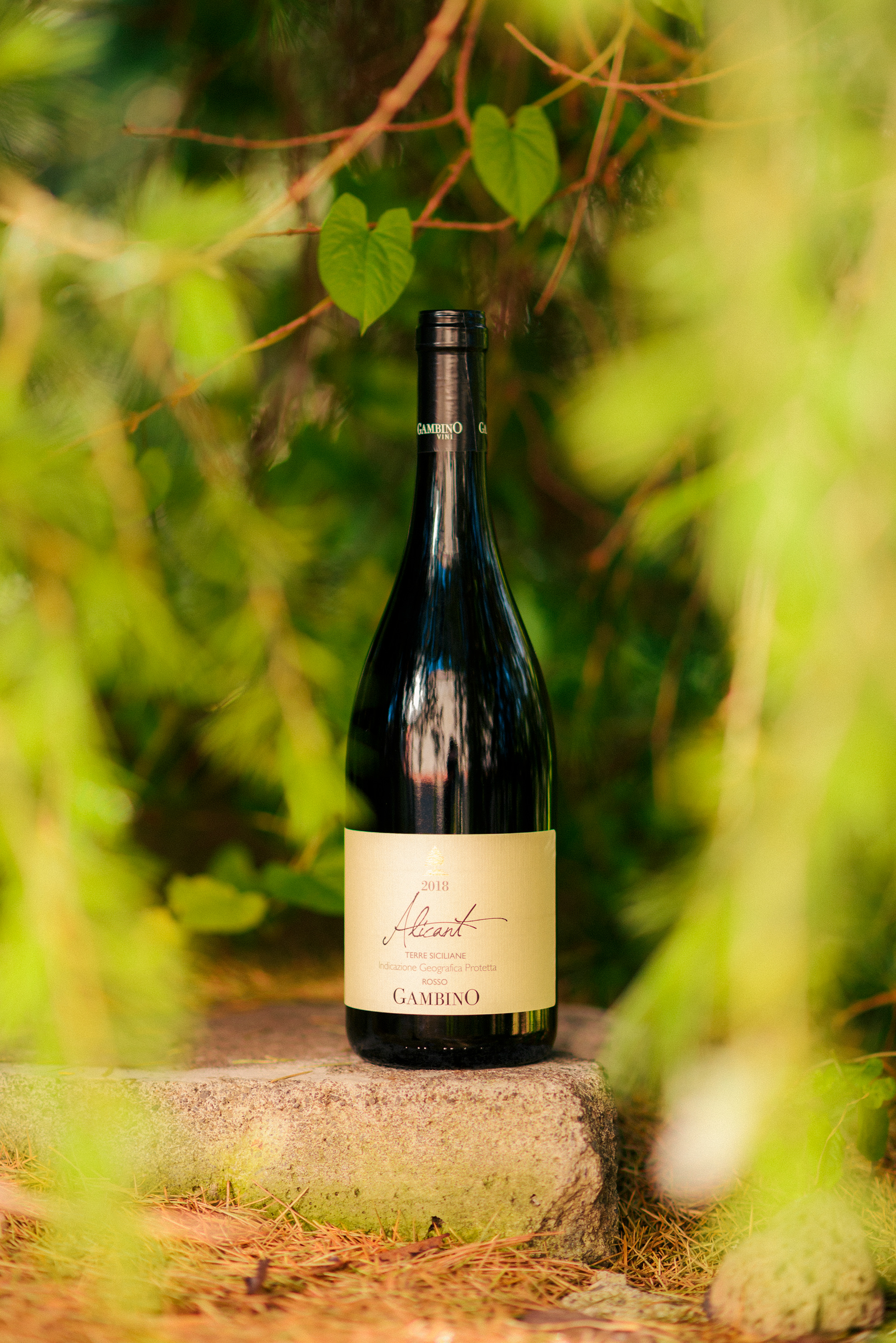 Wine bottle photography Gambino - Sicily wines KataniaStudio stile editoriale contemporaneo