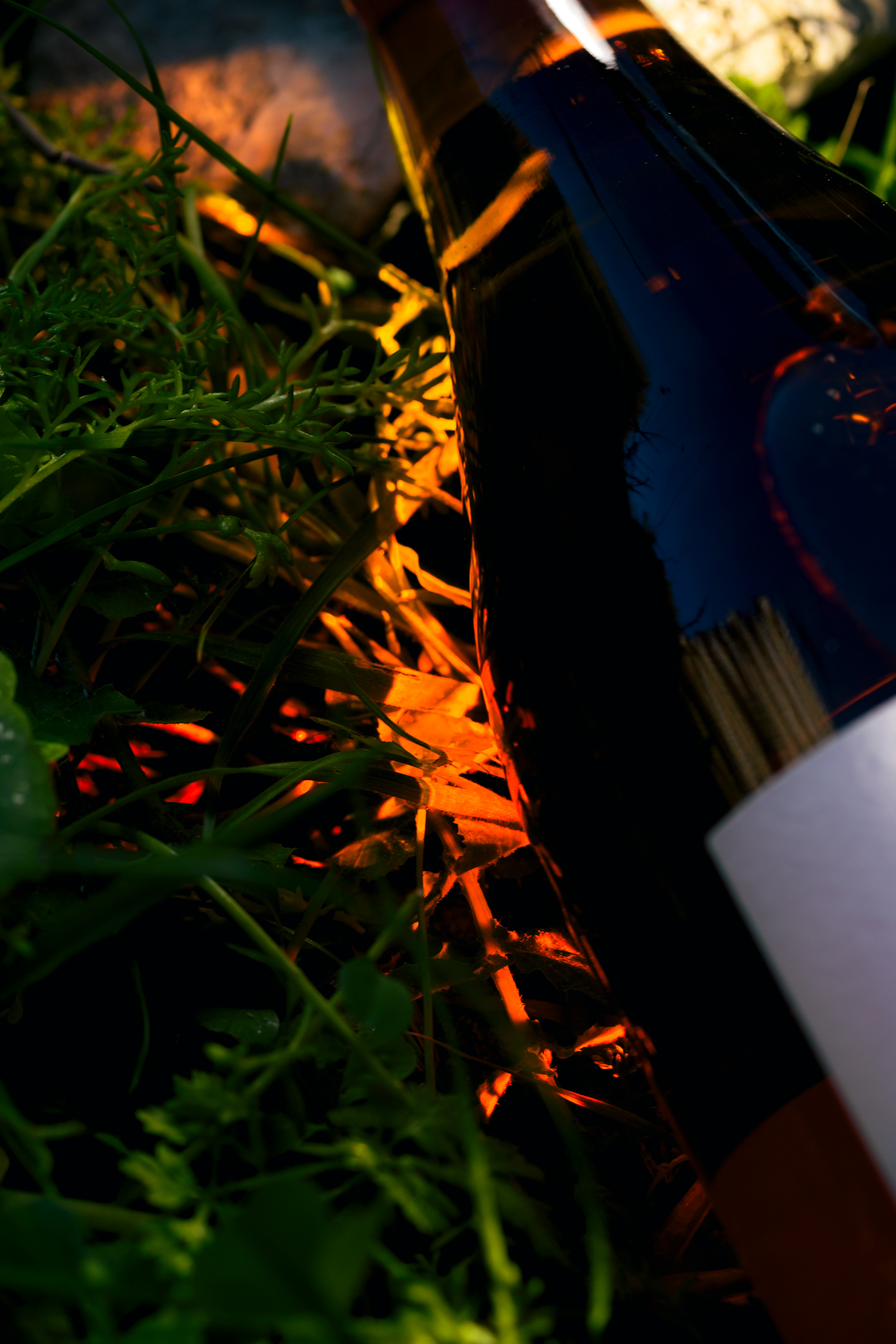 Wine OSA photography Paolo Calì - Personal project composizione elegante contemporanea.