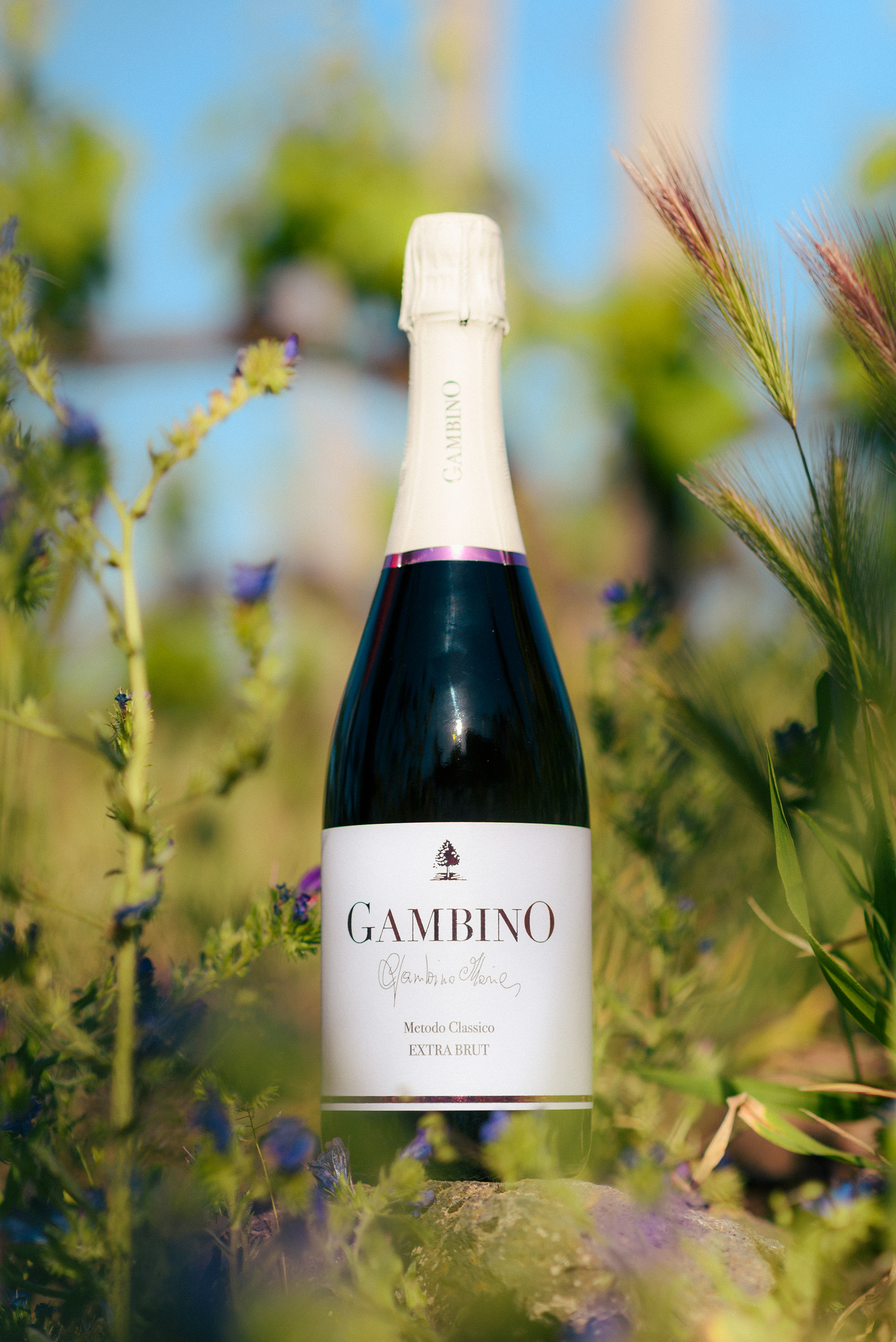 Etna wine photography Cantina Gambino - Terroir wines per KataniaStudio composizione artistica