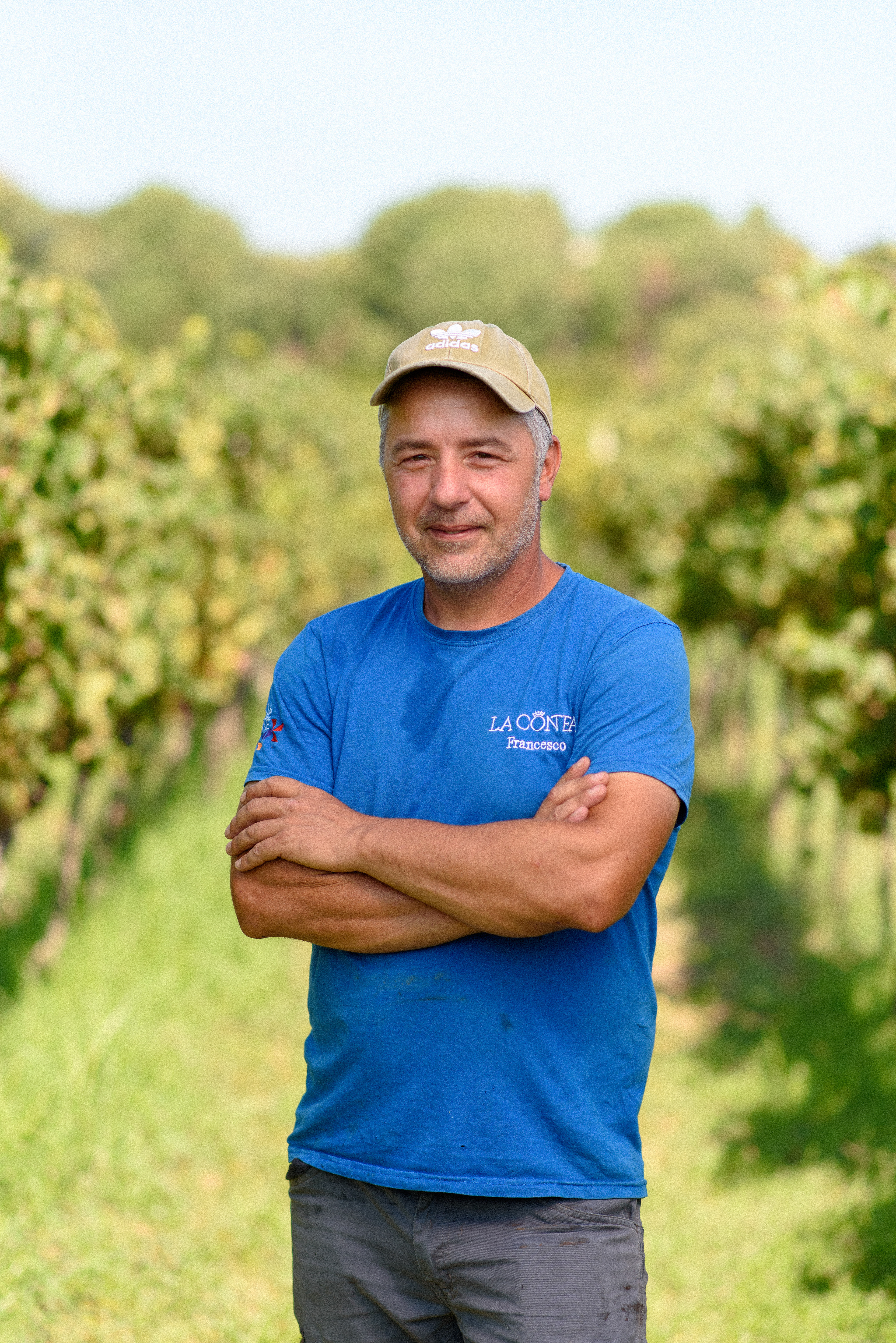 Wine team photography Cantine La Contea - Staff vendemmia per Hoko Studio stile reportagistico