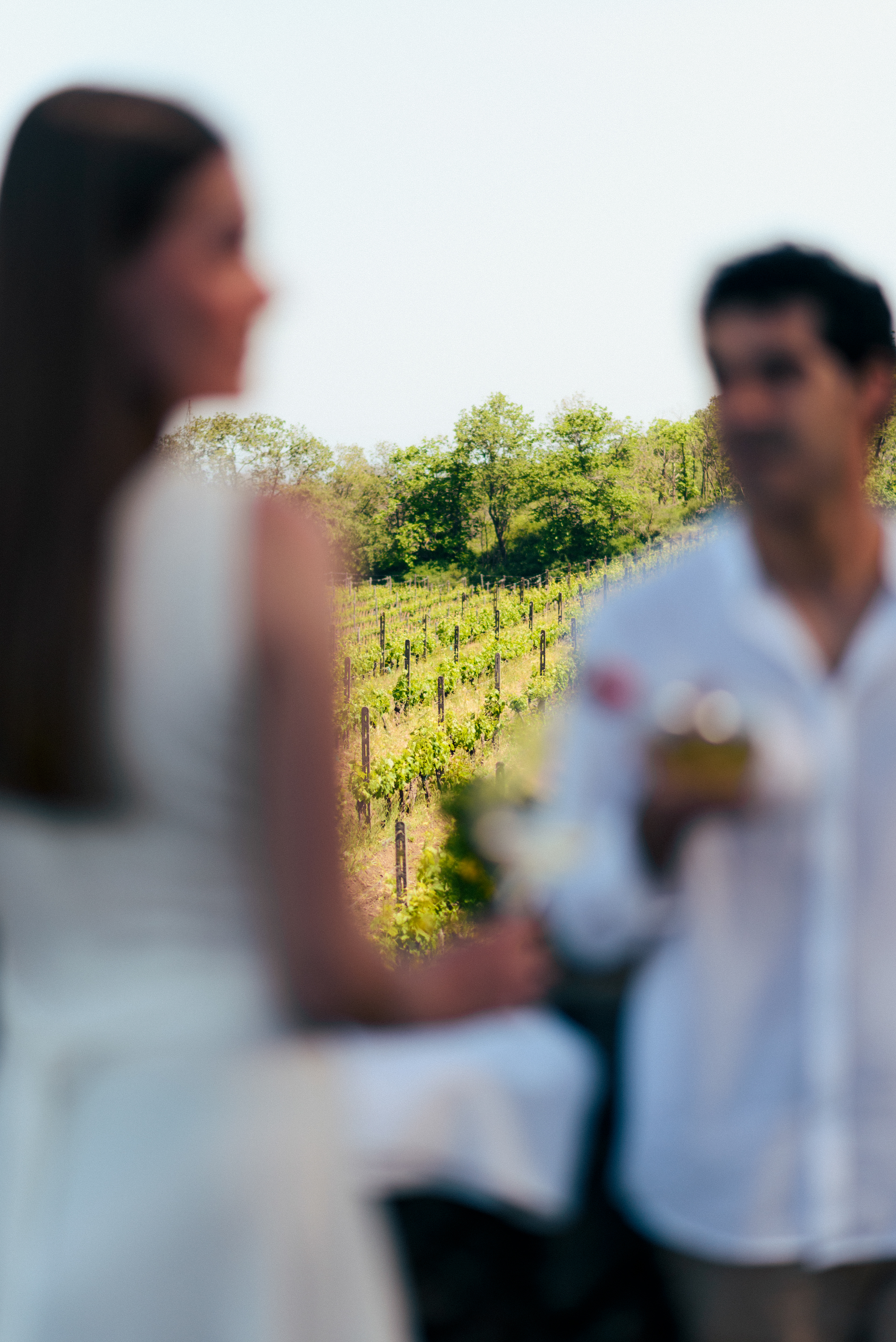Wine photography Cantina Gambino - Etna collection per KataniaStudio stile commerciale professionale