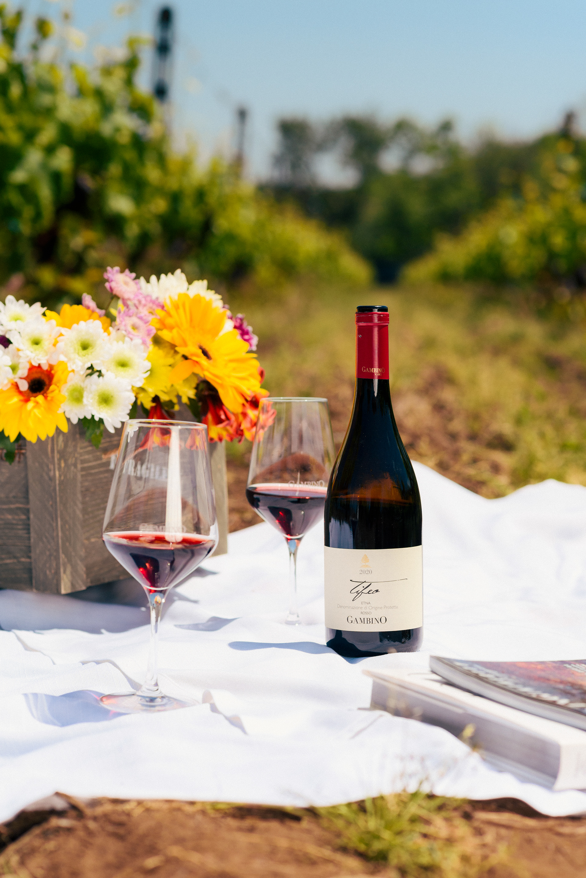 Gambino wine photography - Vini Etna KataniaStudio lighting naturale professionale