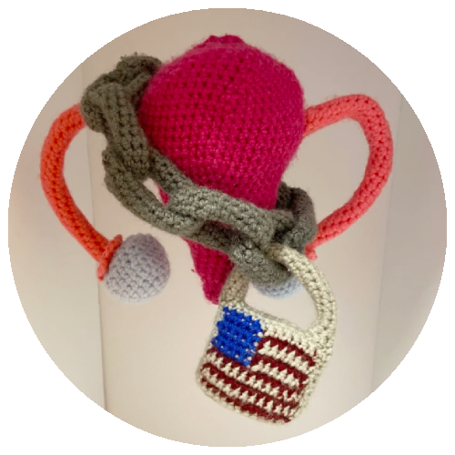 Foreground features pink crochet uterus with fallopian tubes and ovaries. Around the uterus is a crochet gray chain with a lock that features a United States flag. Background features smooth white paneling.