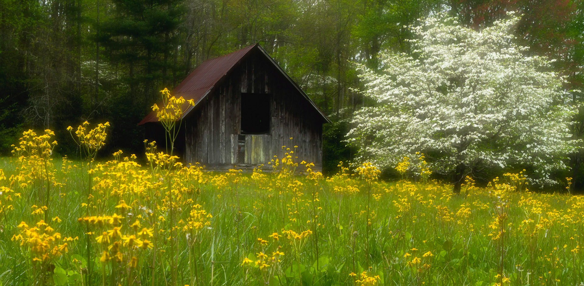 Barn in Spring