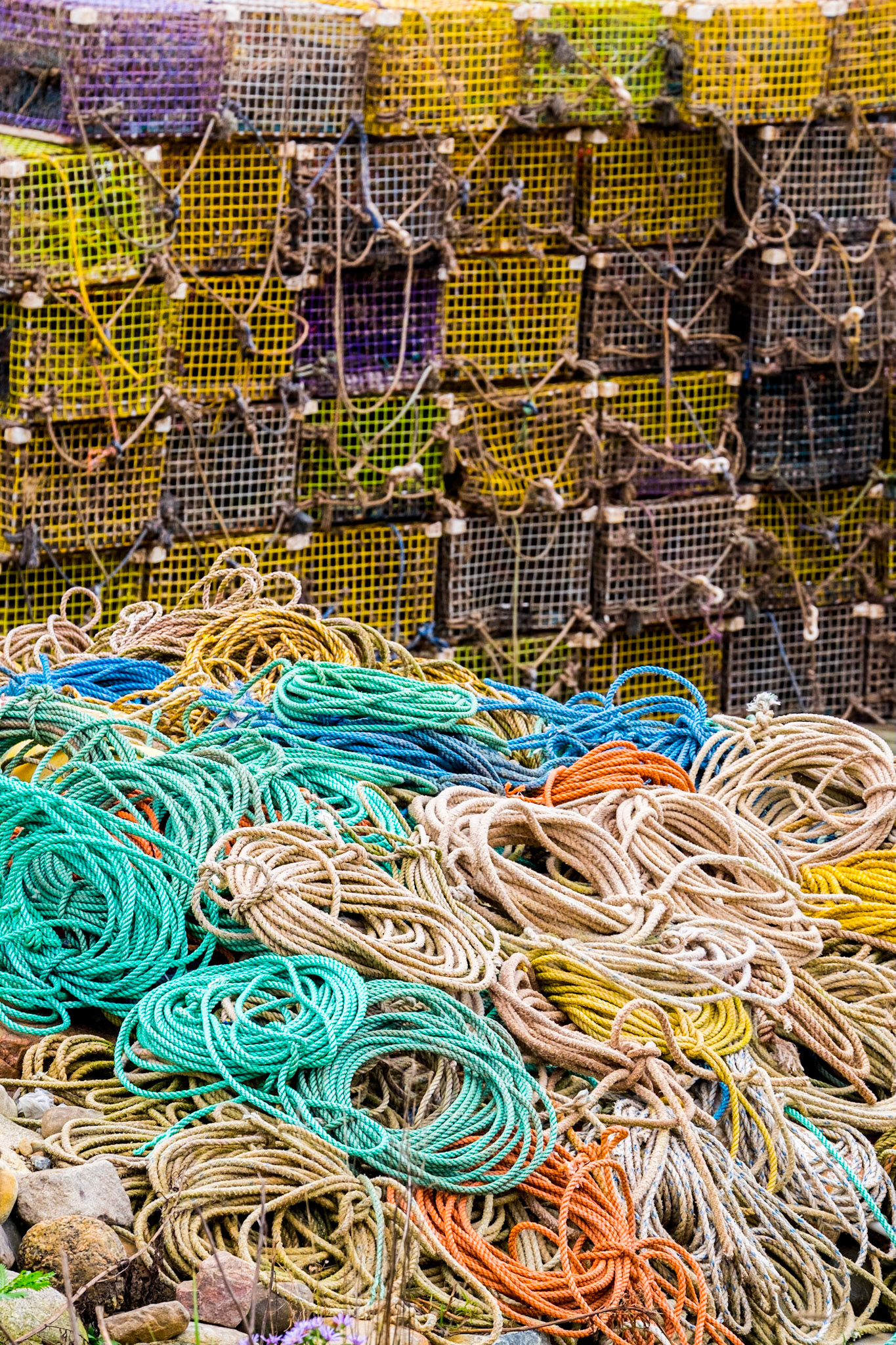 Ropes and Lobster Traps