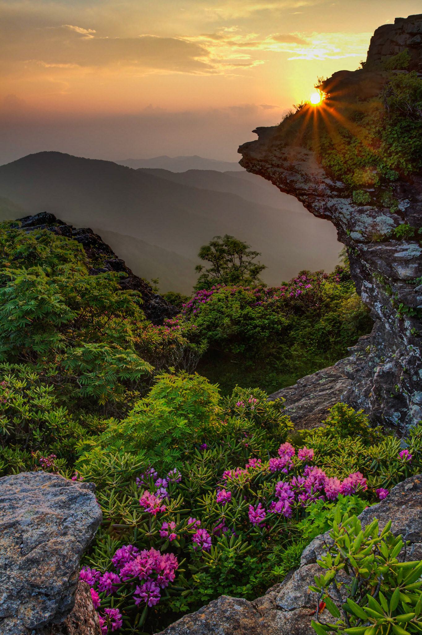 Craggy Pinnacle Sunset