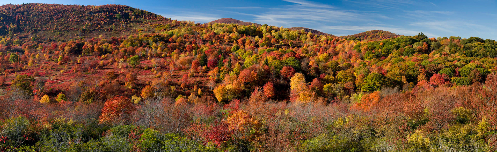 Graveyard Fields Pana