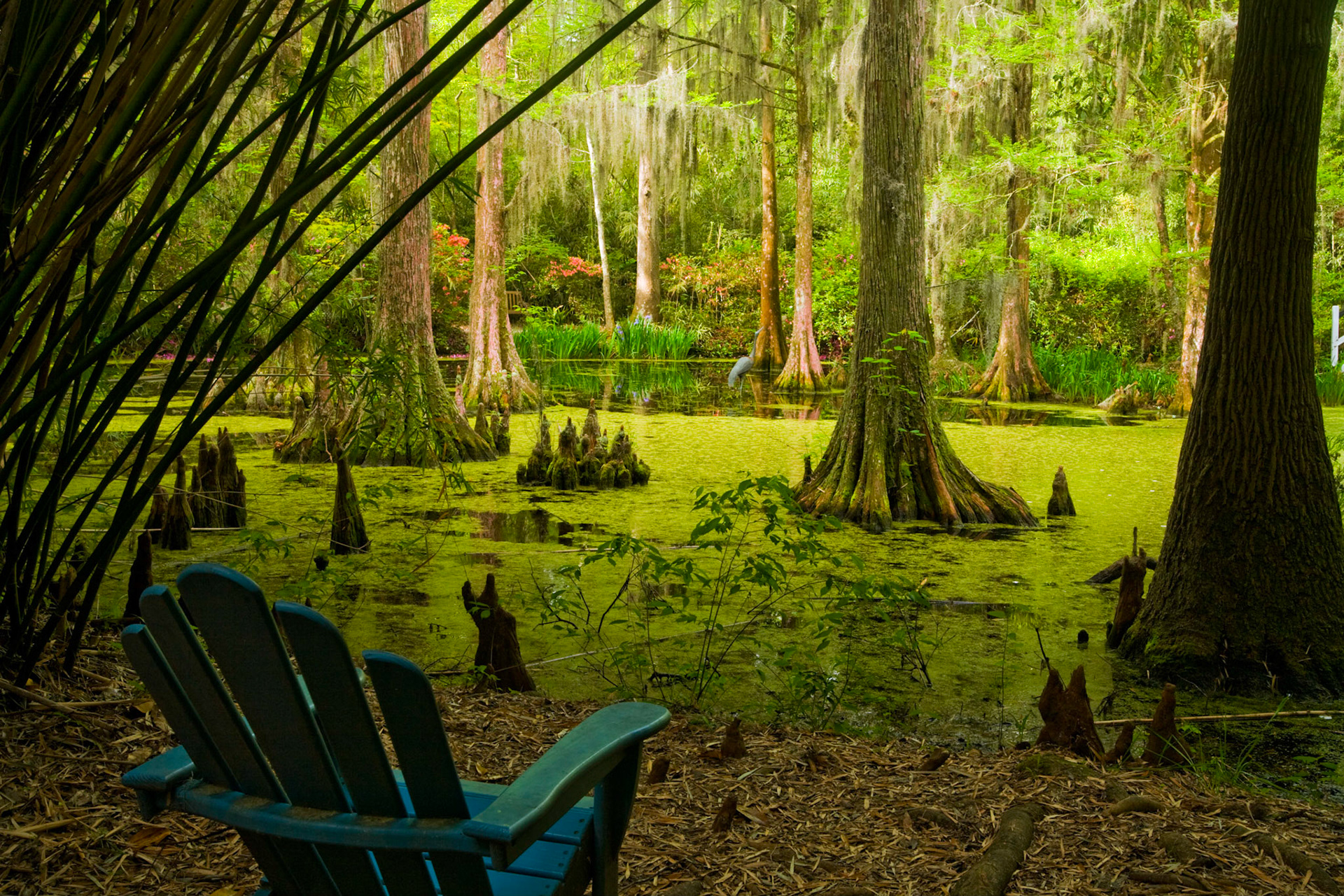 Magnolia Gardens