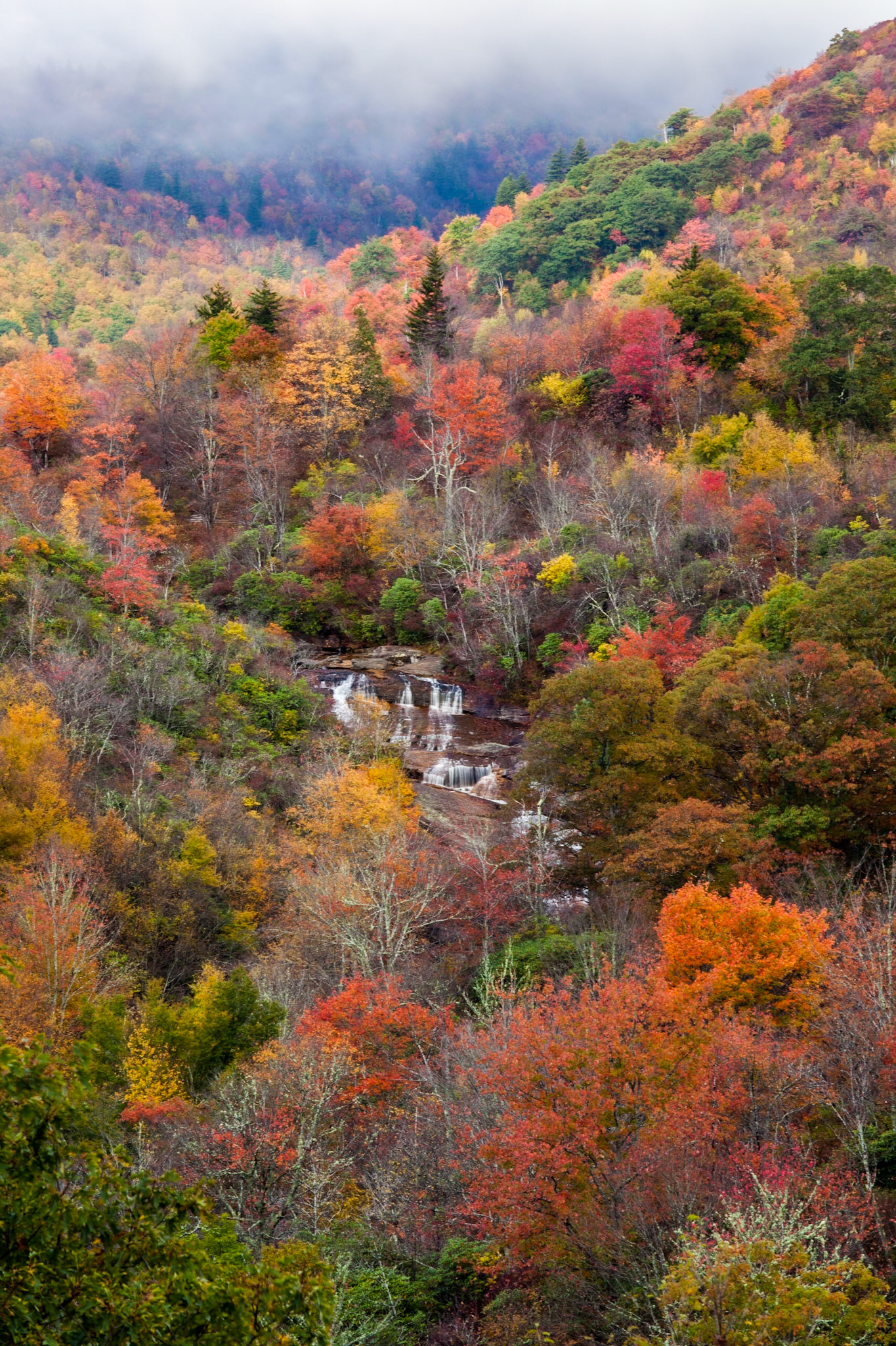Autumn Colors