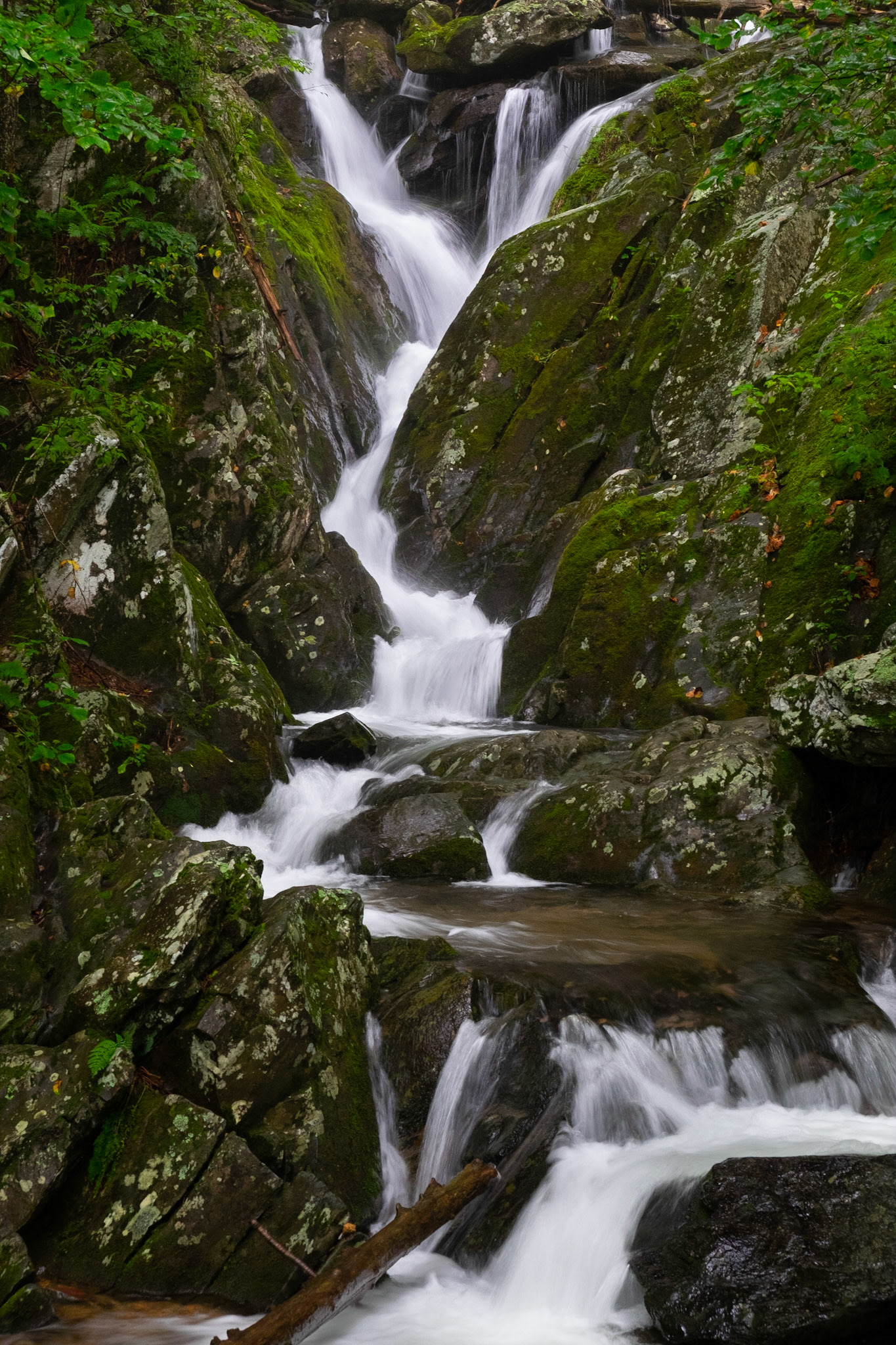 Dark Hollow Falls, Virginia
