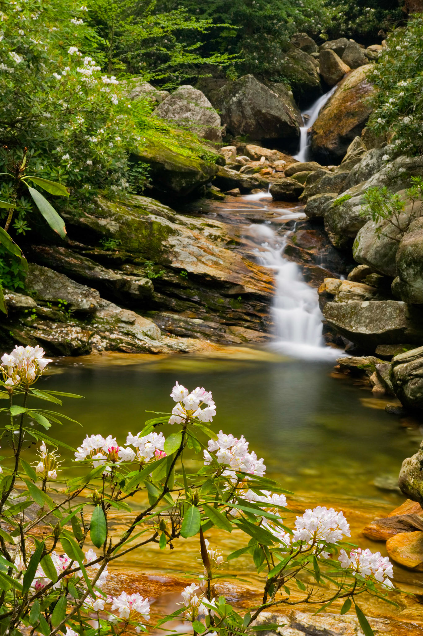 Skinny Dip Falls, NC