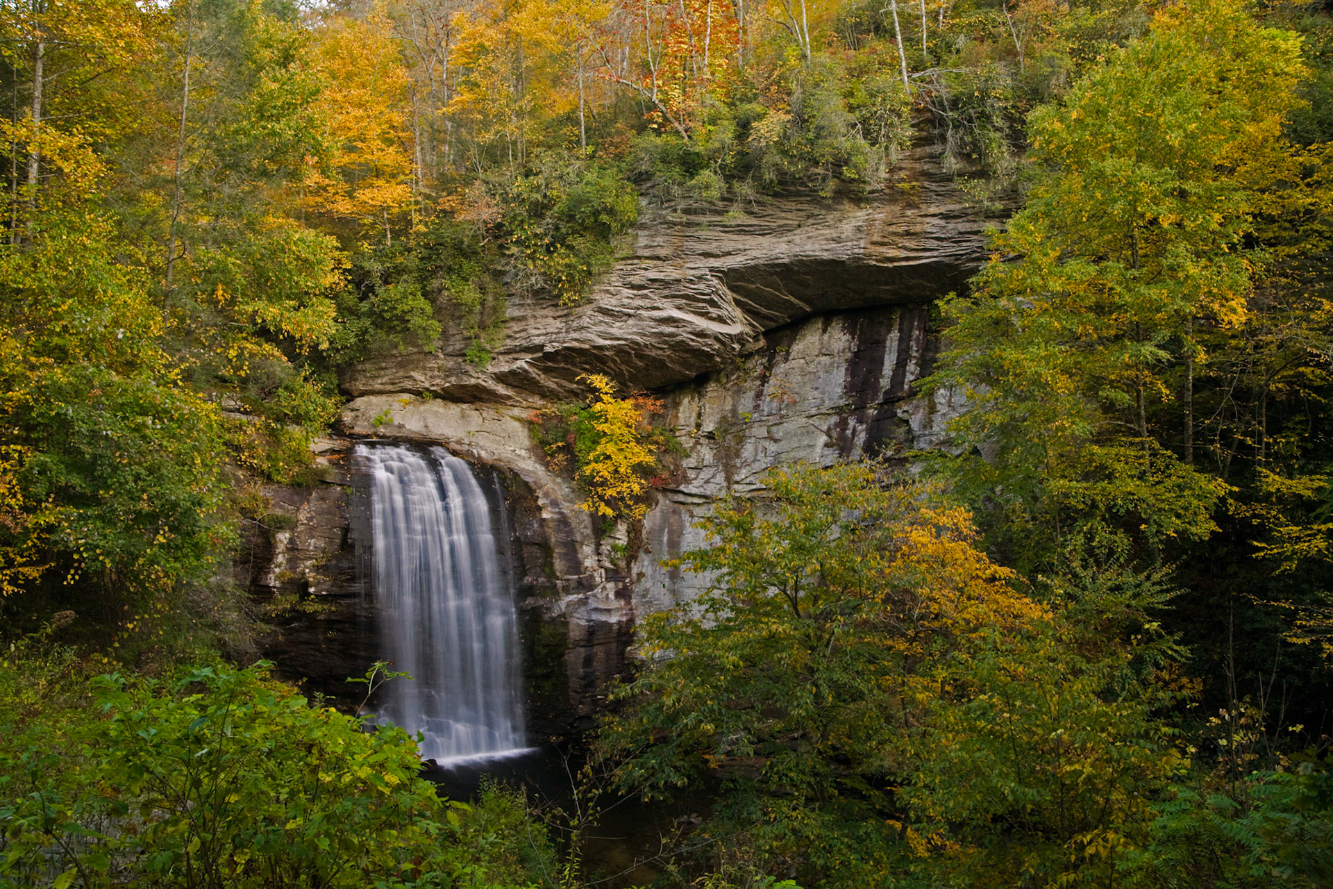 Looking Glass Falls, NC
