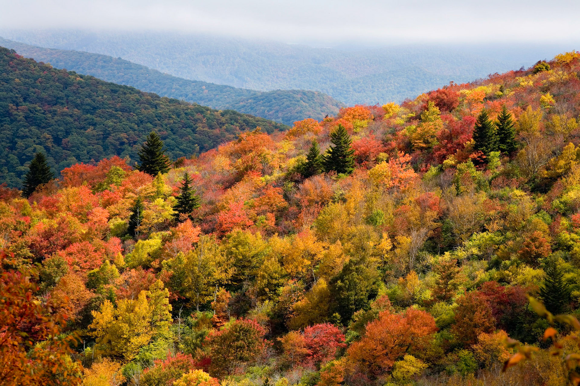October Colors