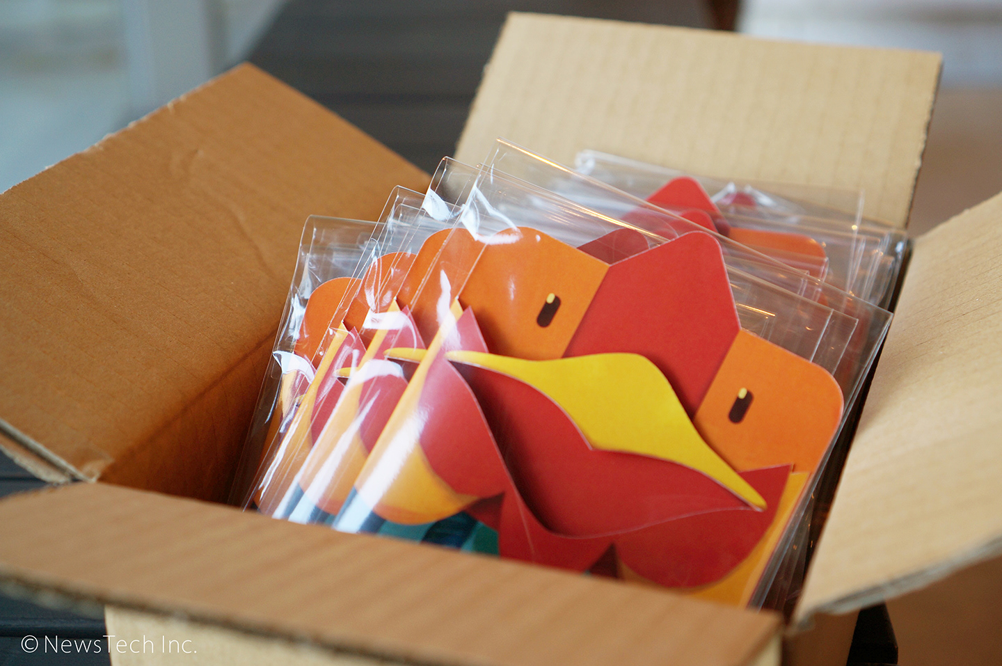 Photo courtesy of Kenta Shimbo・撮影：神保健太