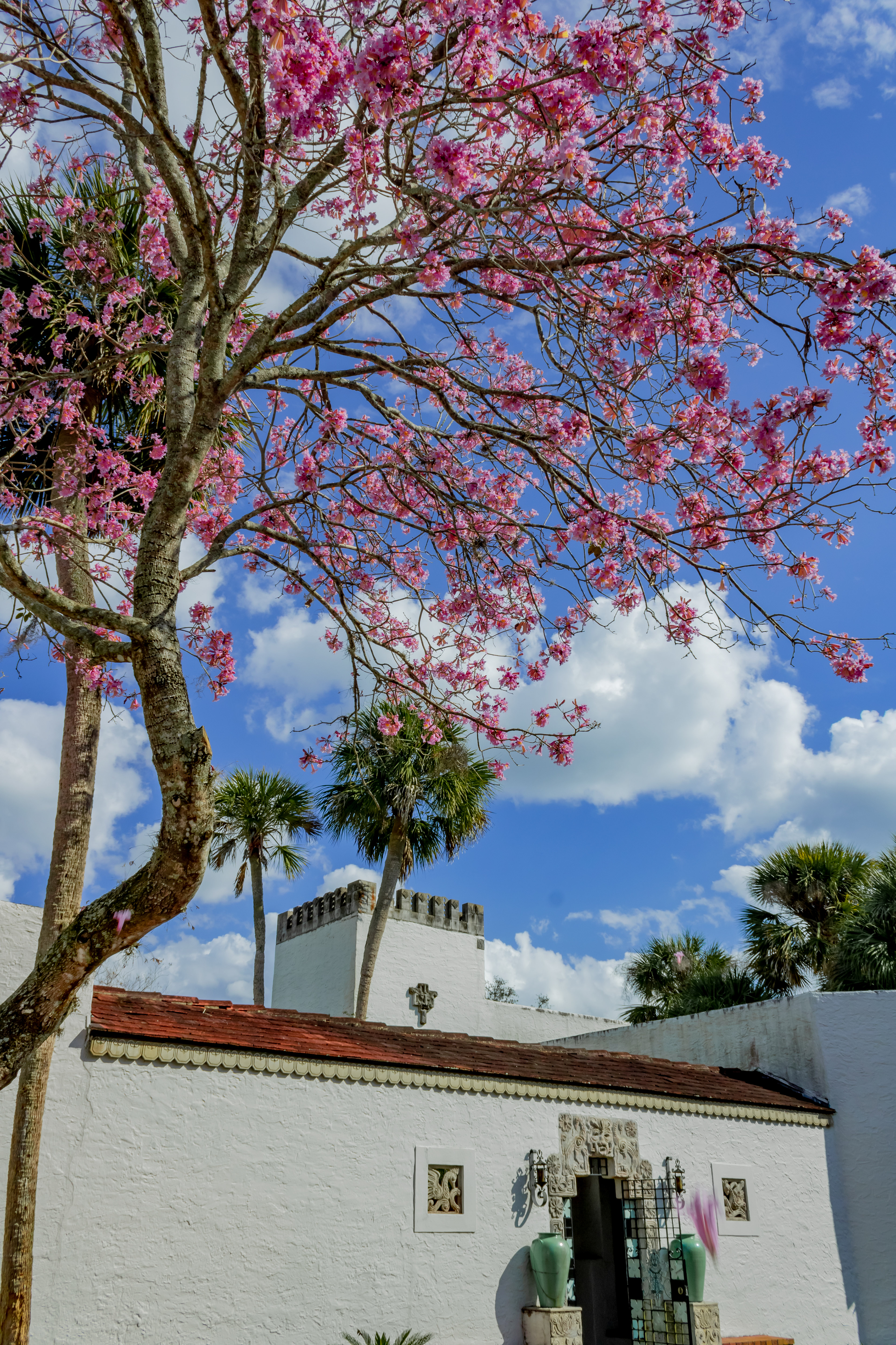 View of the buildings at the view of the Main Garden at Art and History Museums of Maitland